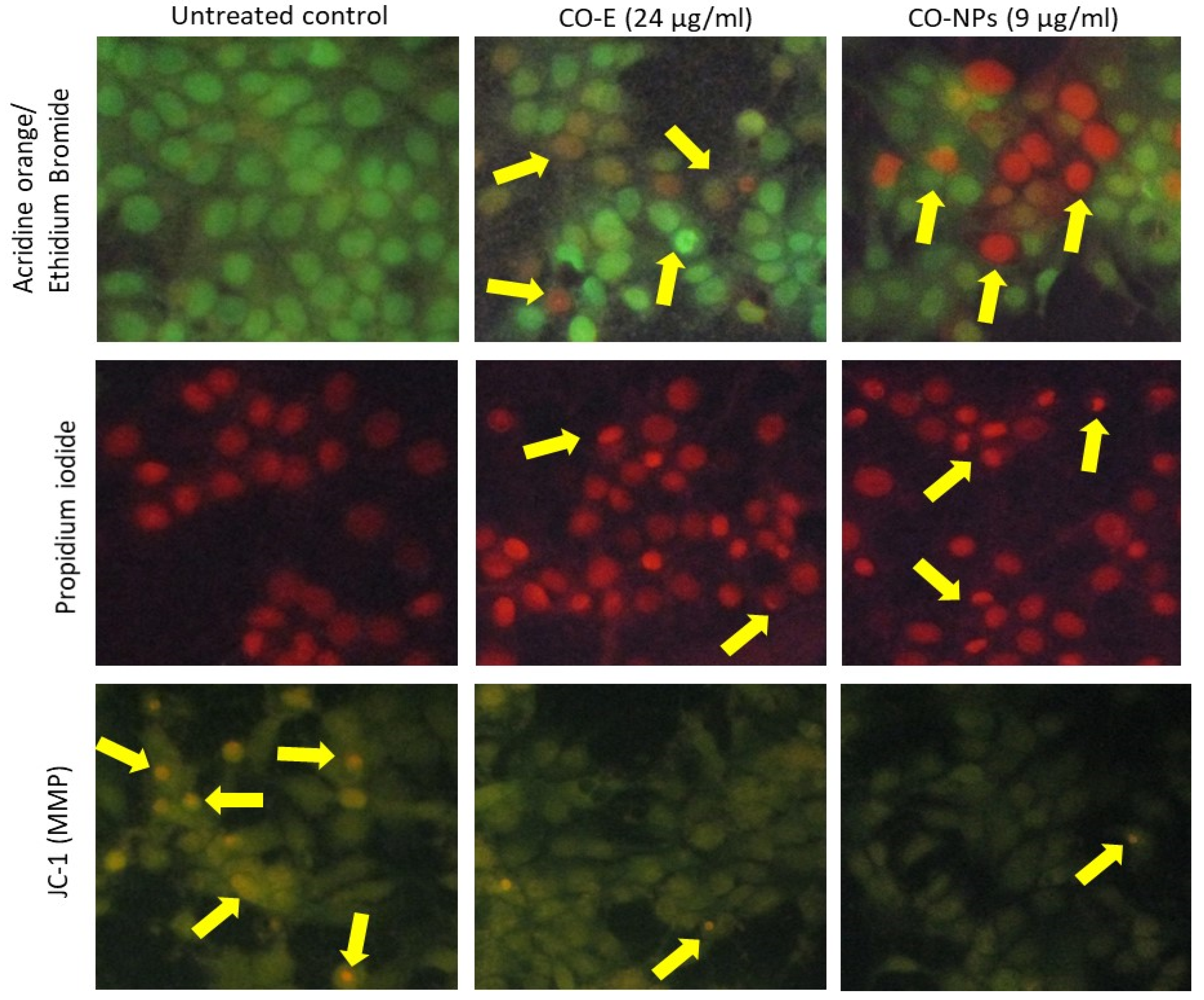 Nanomaterials 12 03393 g003