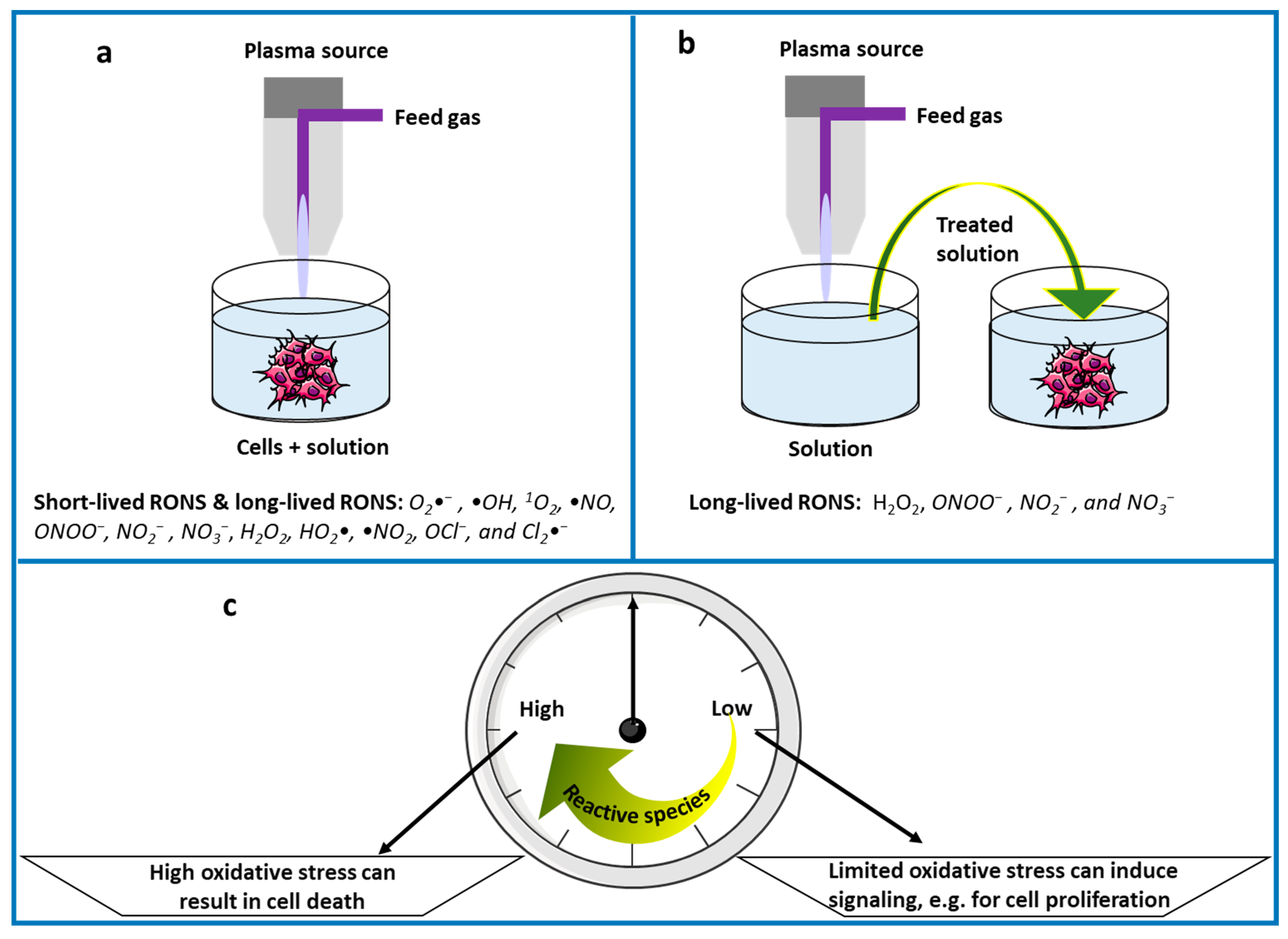 Nanomaterials 12 03397 g001 Nanomaterials 12 03397 g001
