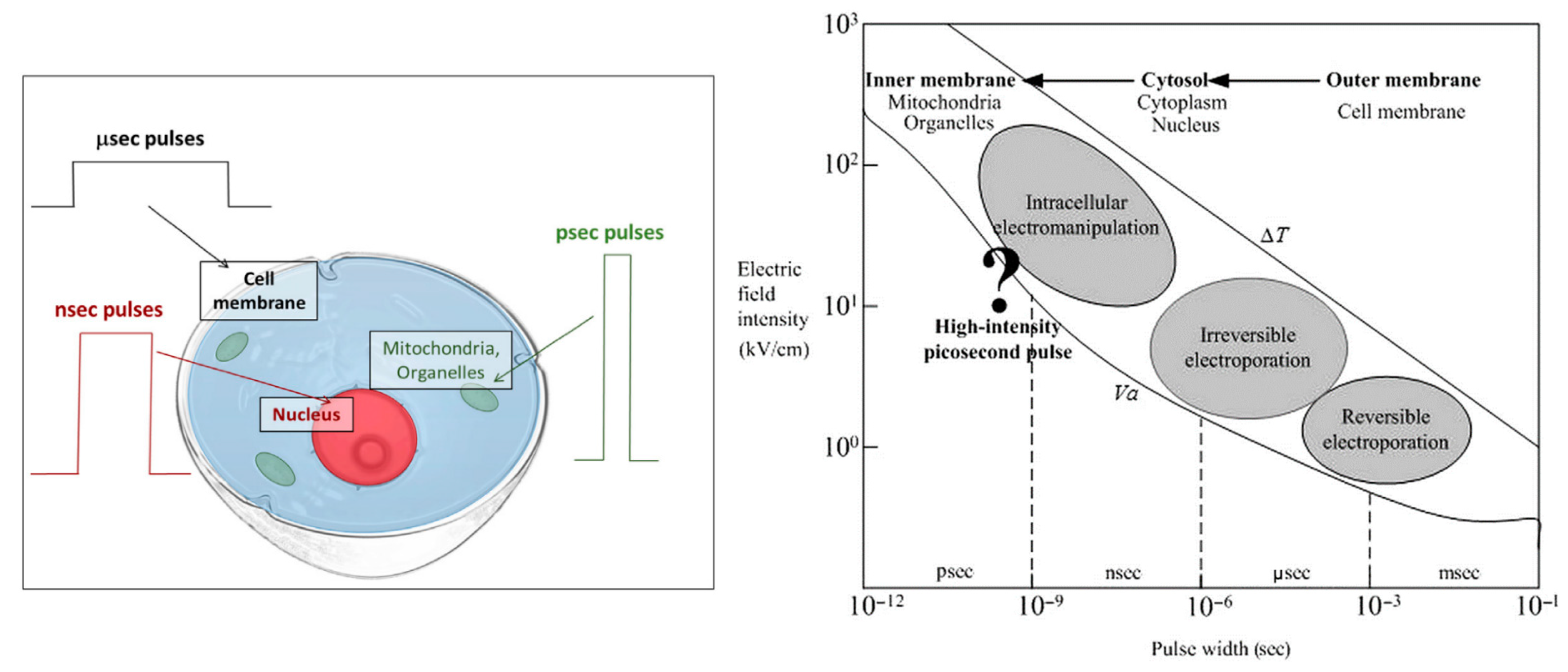 Nanomaterials 12 03397 g005 Nanomaterials 12 03397 g005