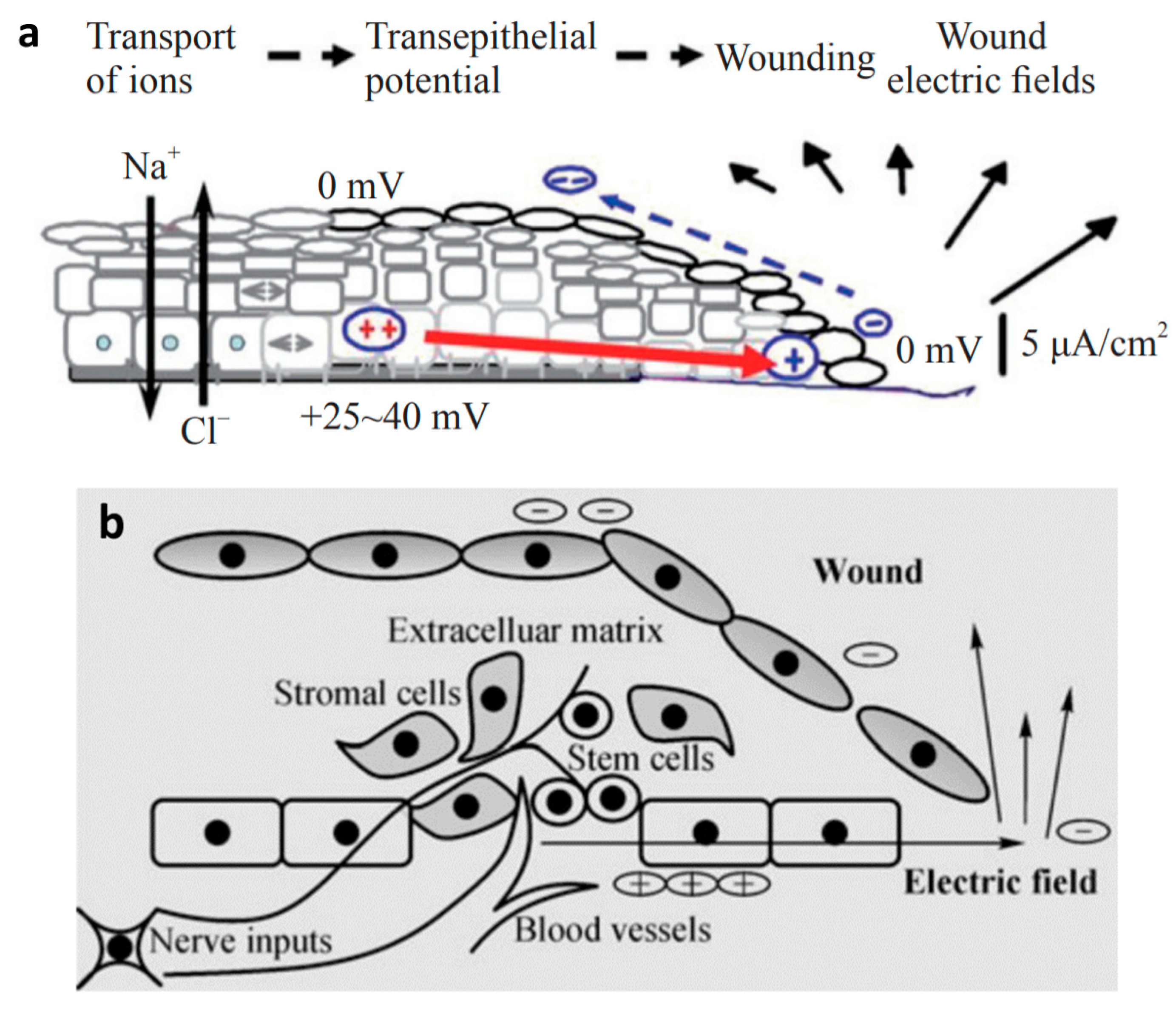 Nanomaterials 12 03397 g007 Nanomaterials 12 03397 g007