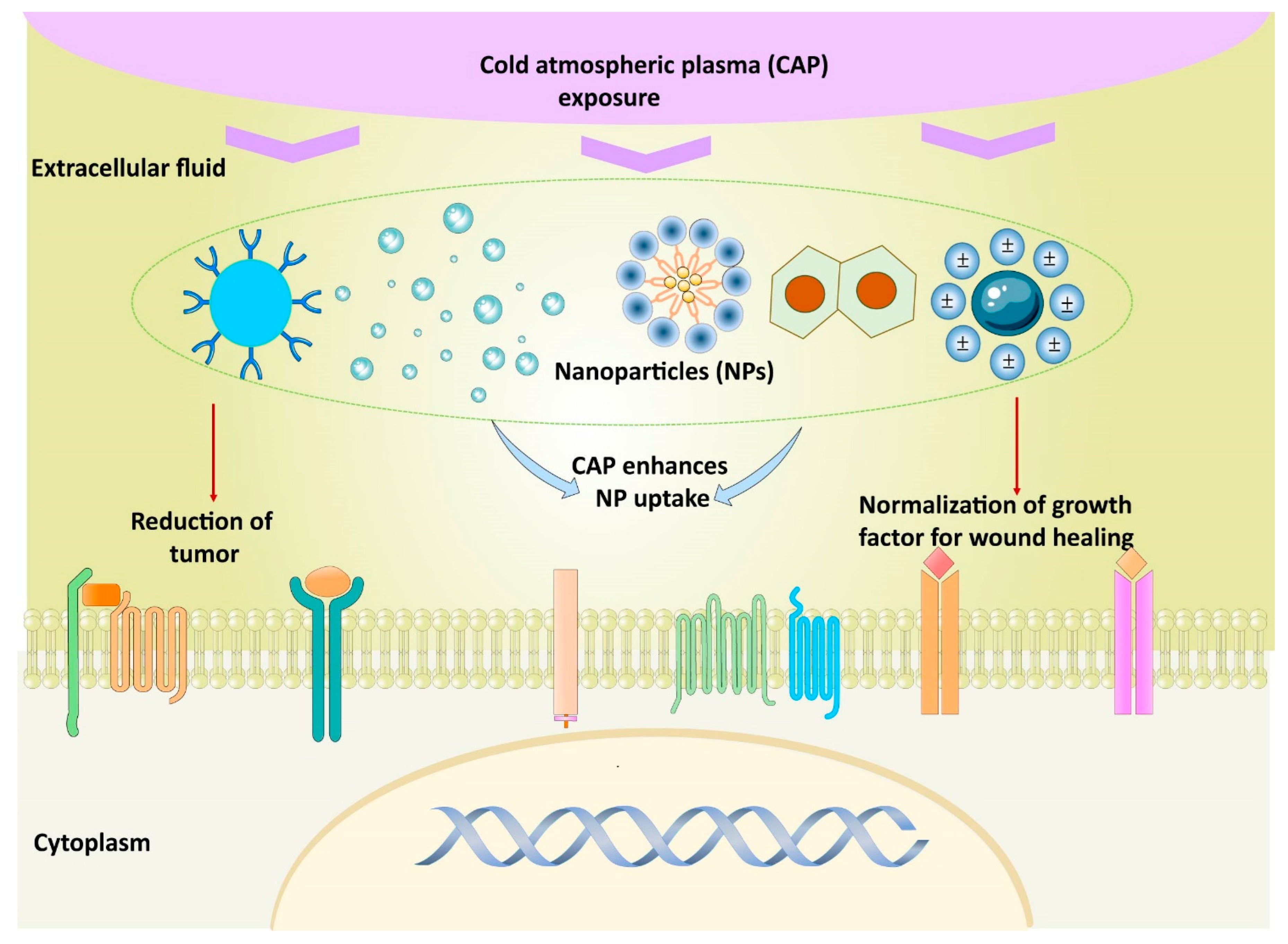 Nanomaterials | Free Full-Text | Possible Synergies of 