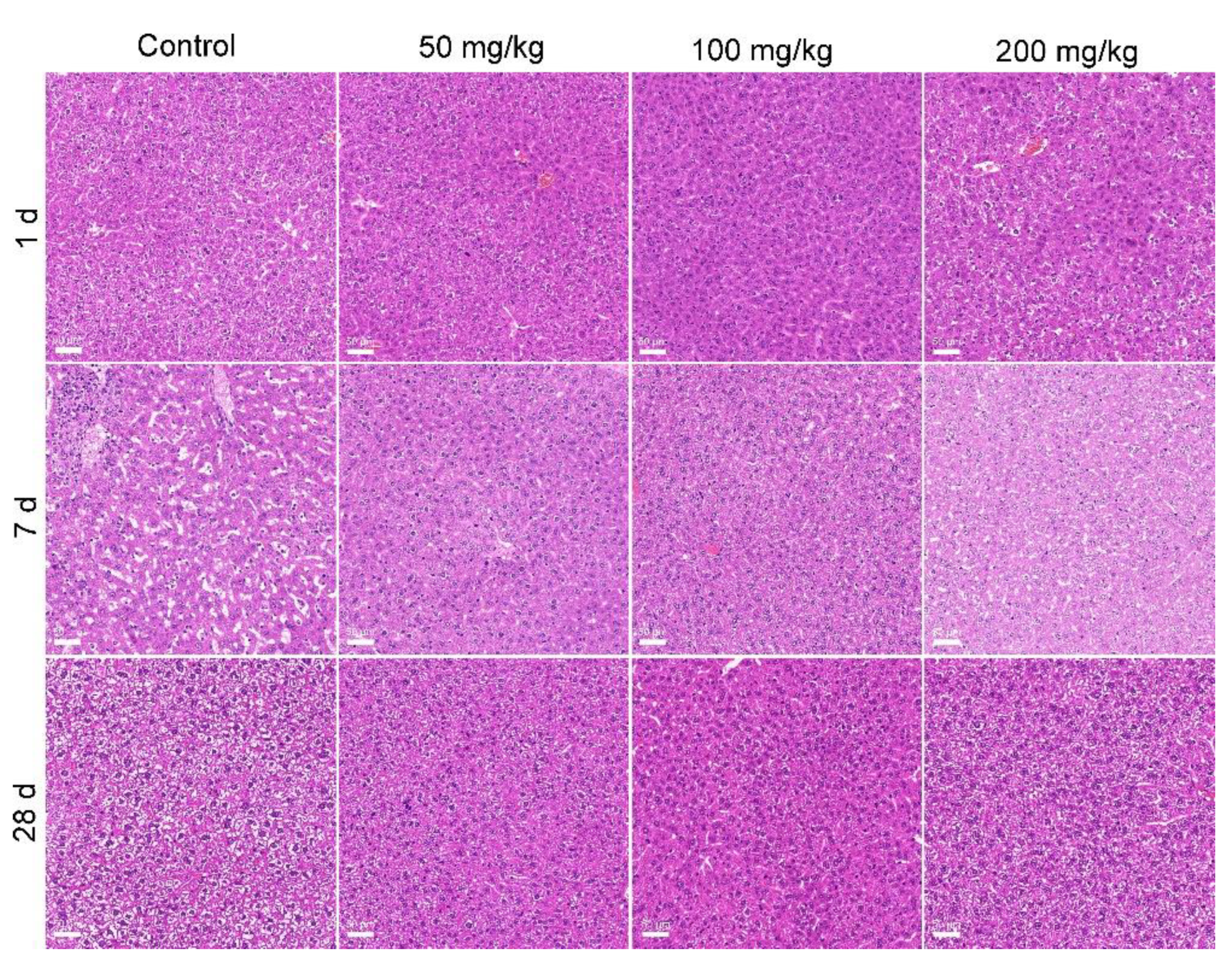Nanomaterials 12 03398 g005