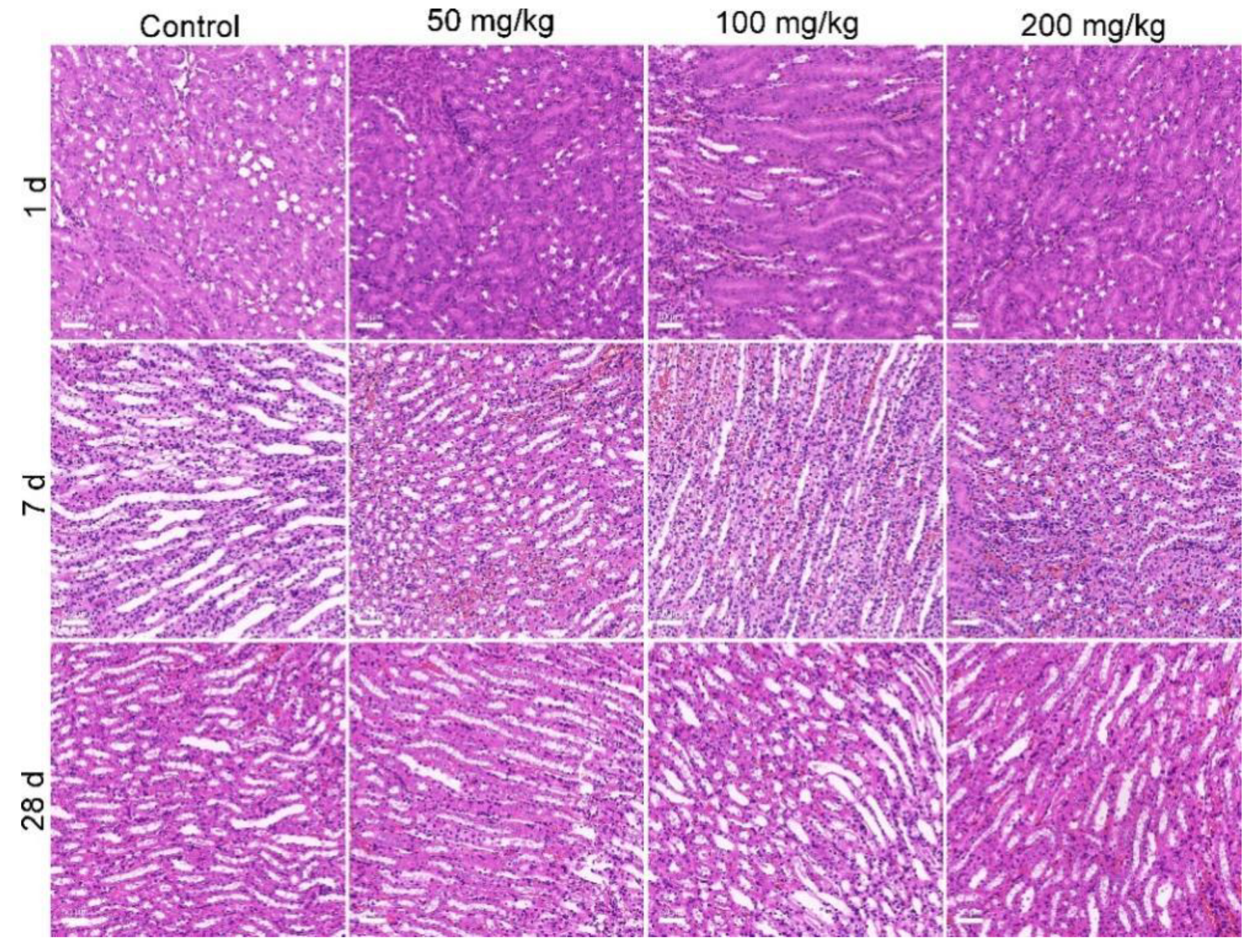 Nanomaterials 12 03398 g006