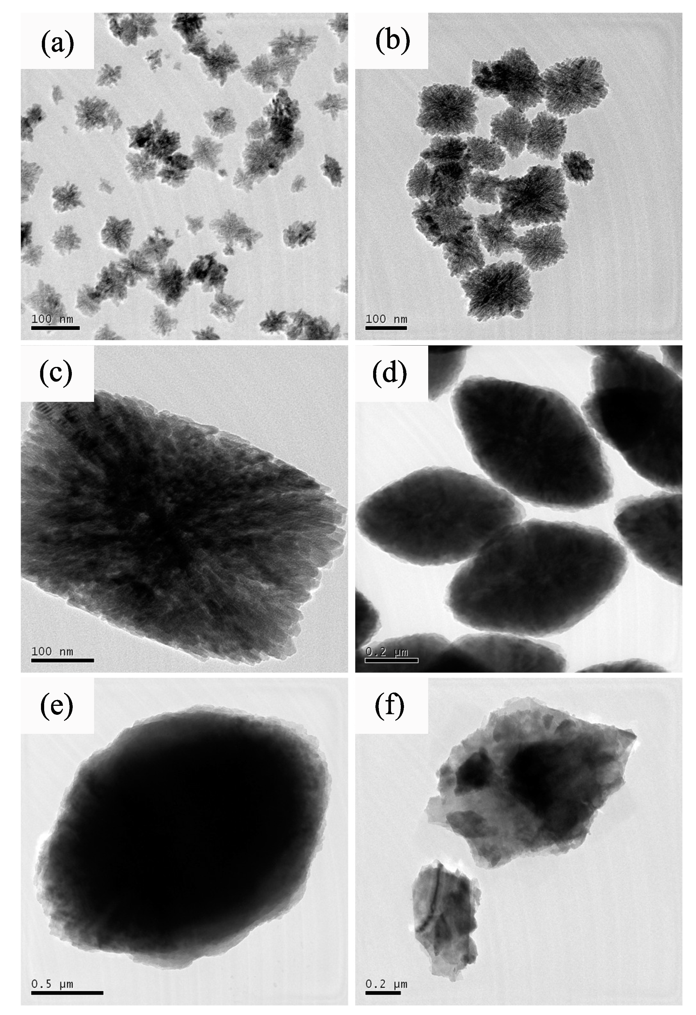 Nanomaterials 12 03405 g003
