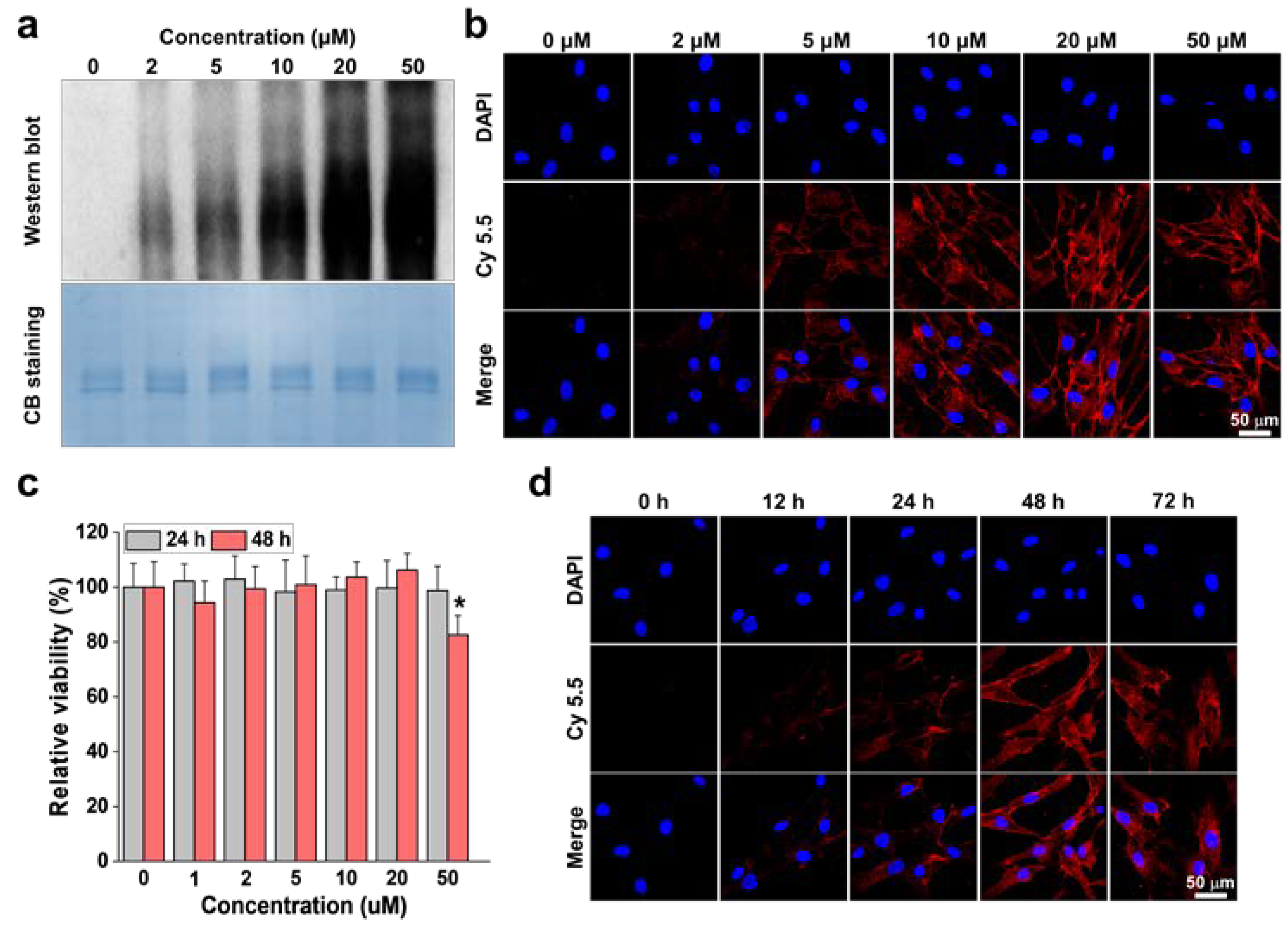 Nanomaterials 12 03410 g002 Nanomaterials 12 03410 g002