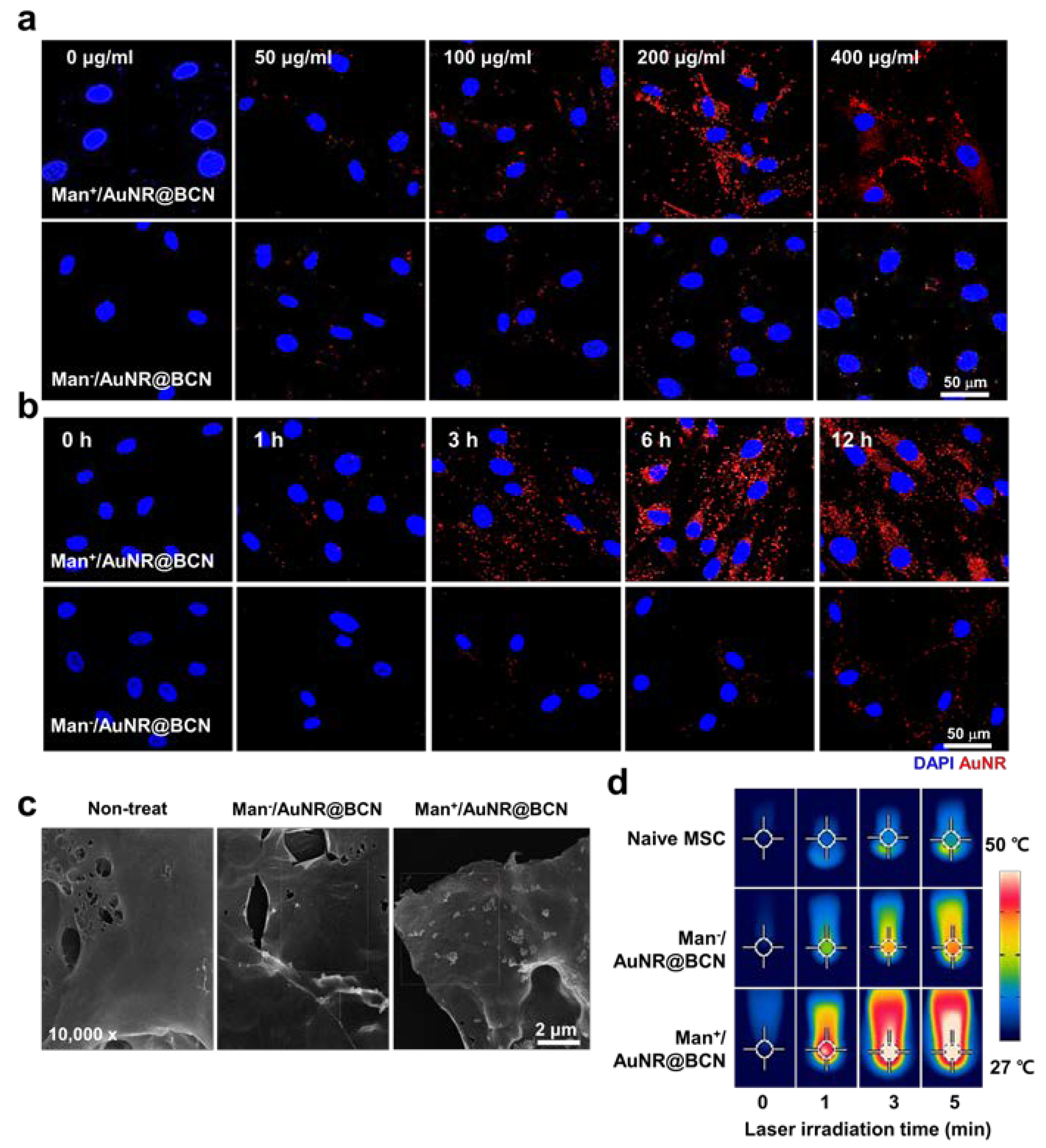 Nanomaterials 12 03410 g003 Nanomaterials 12 03410 g003