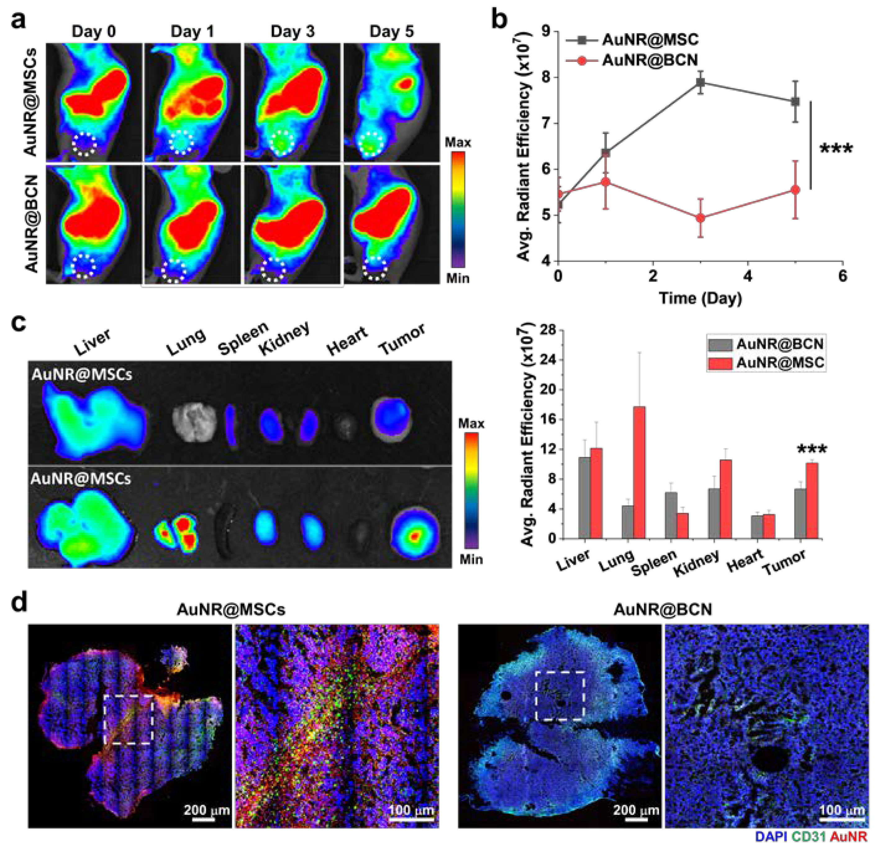 Nanomaterials 12 03410 g004 Nanomaterials 12 03410 g004