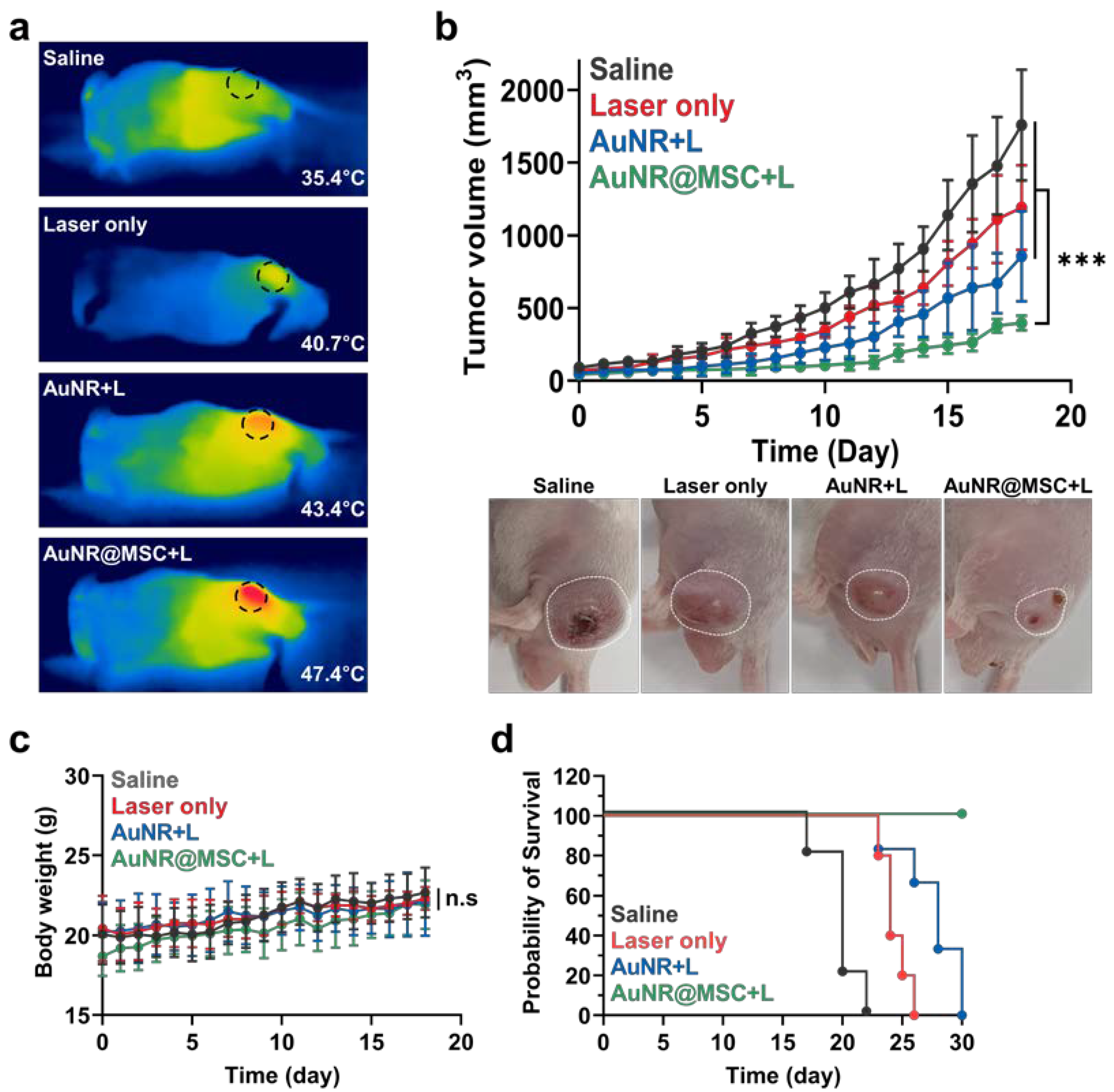 Nanomaterials 12 03410 g005 Nanomaterials 12 03410 g005