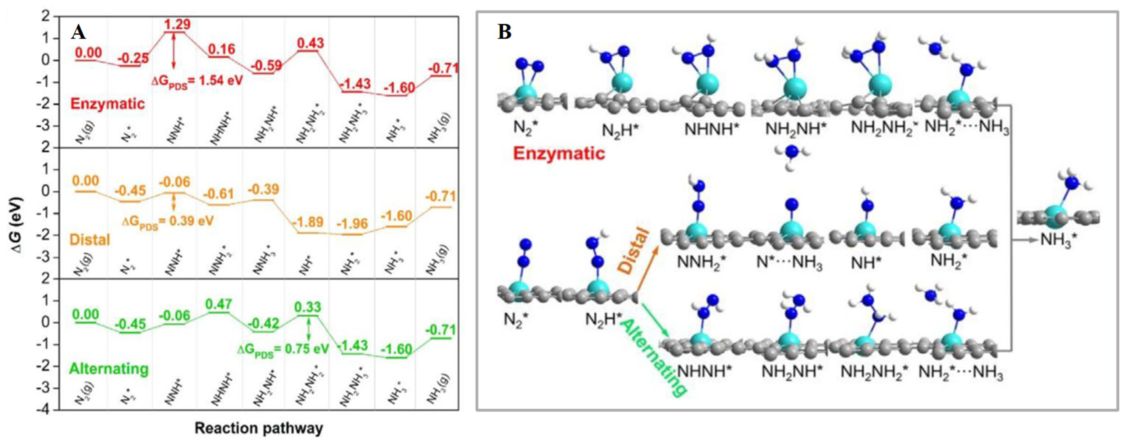 Nanomaterials 12 03413 g004