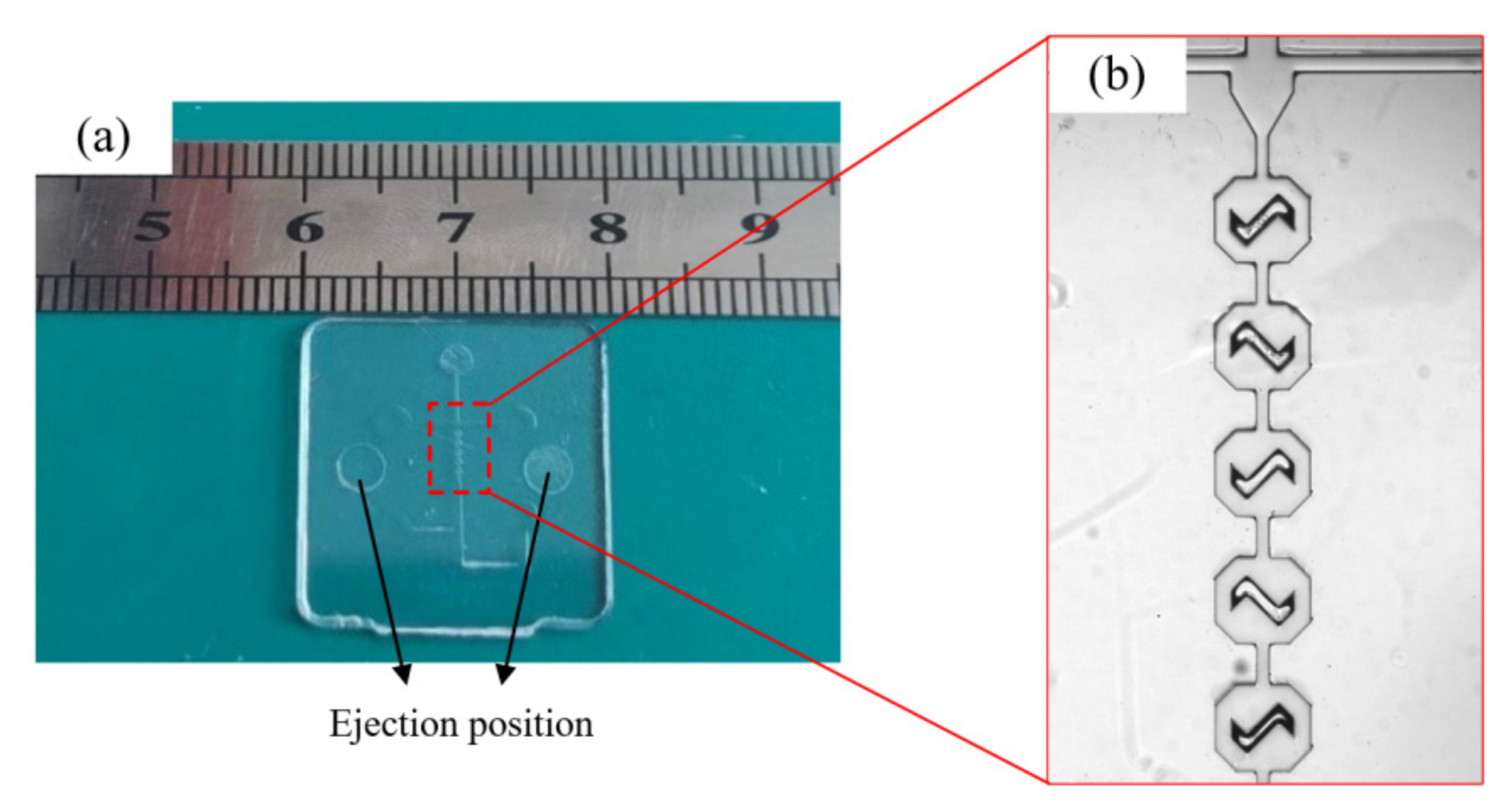 Nanomaterials 12 03416 g004 Nanomaterials 12 03416 g004
