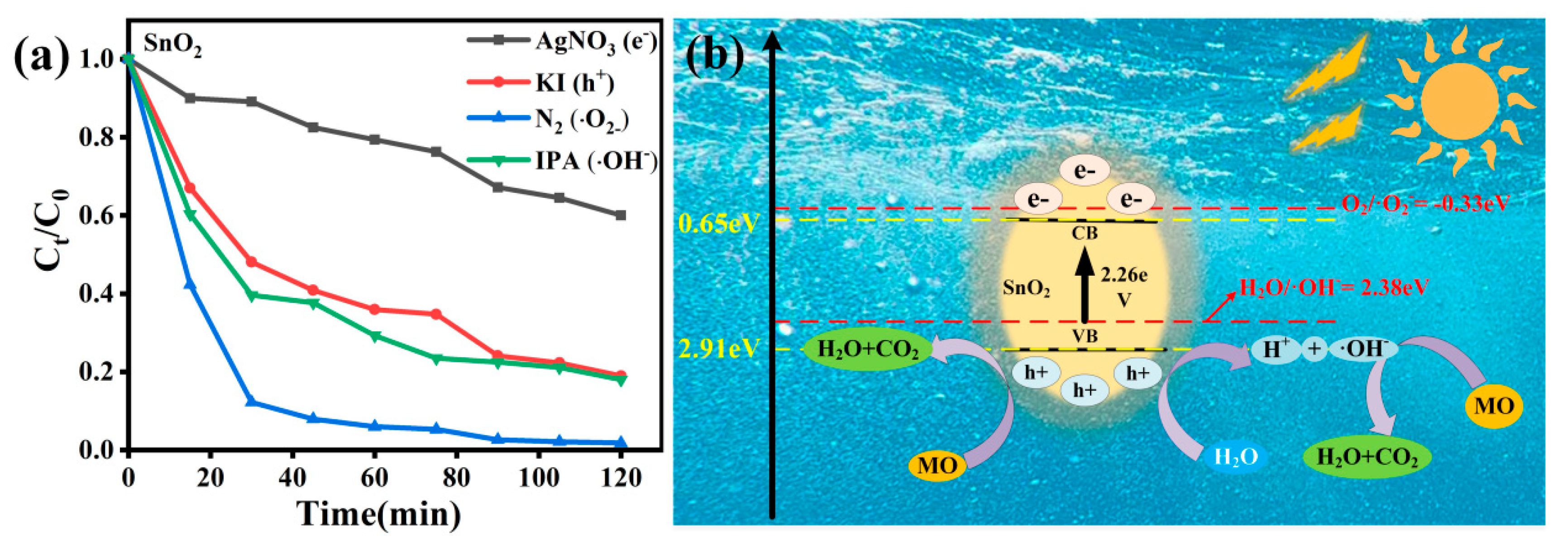 Study on the Photocatalytic Properties of Flower-Shaped SnO2