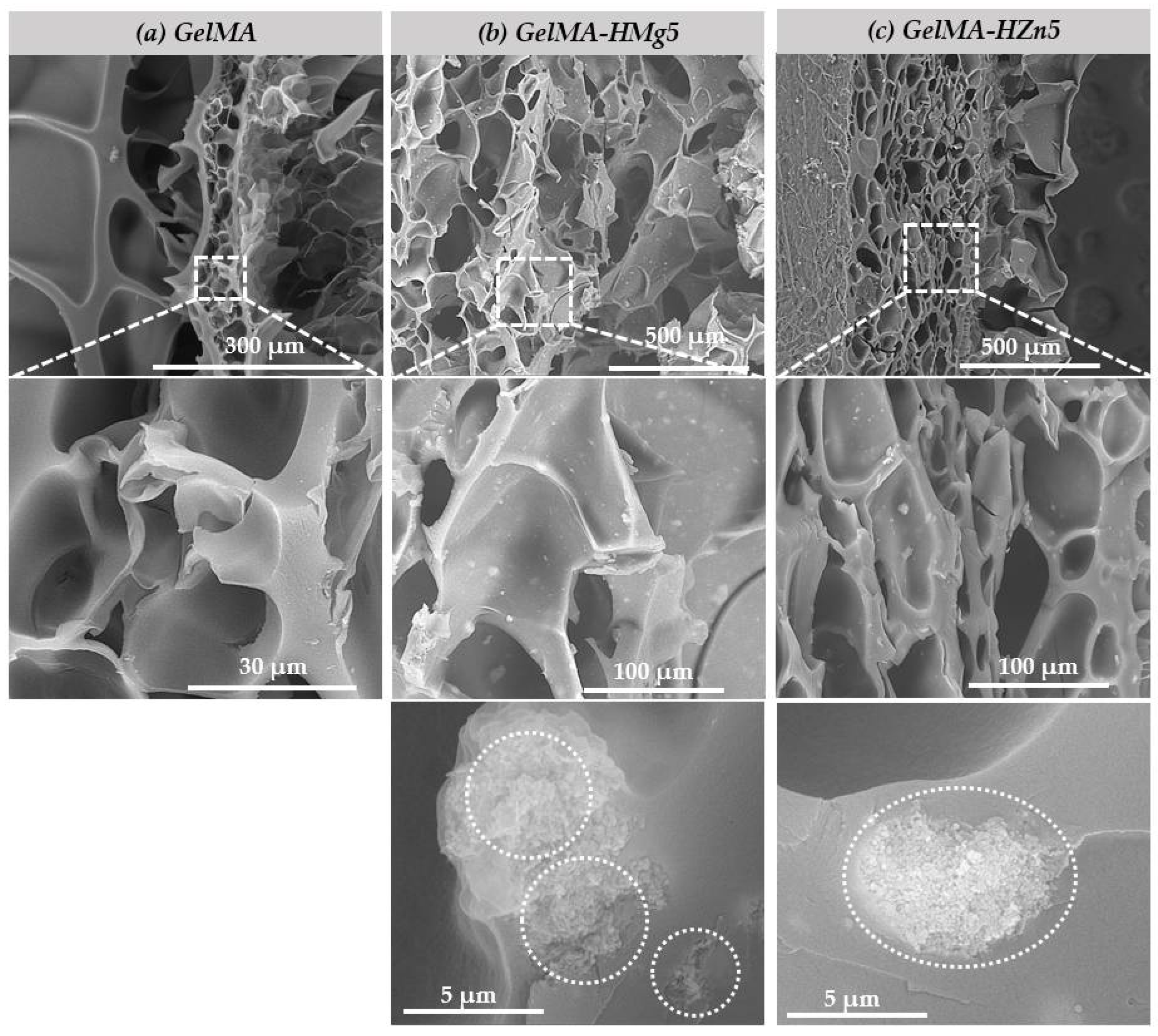 Nanomaterials 12 03420 g007