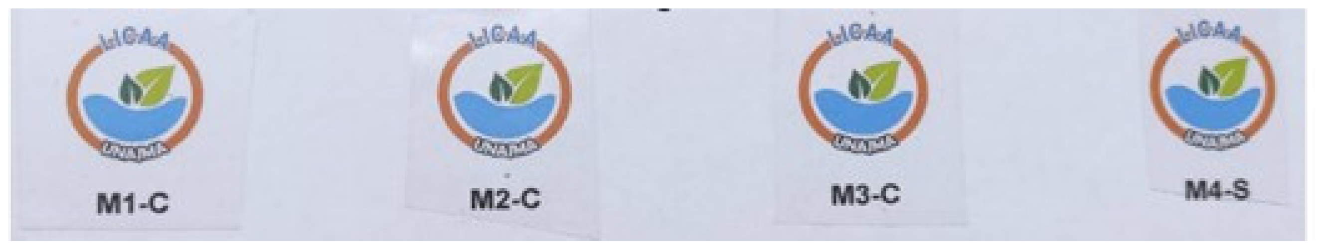 Nanomaterials 12 03421 g005