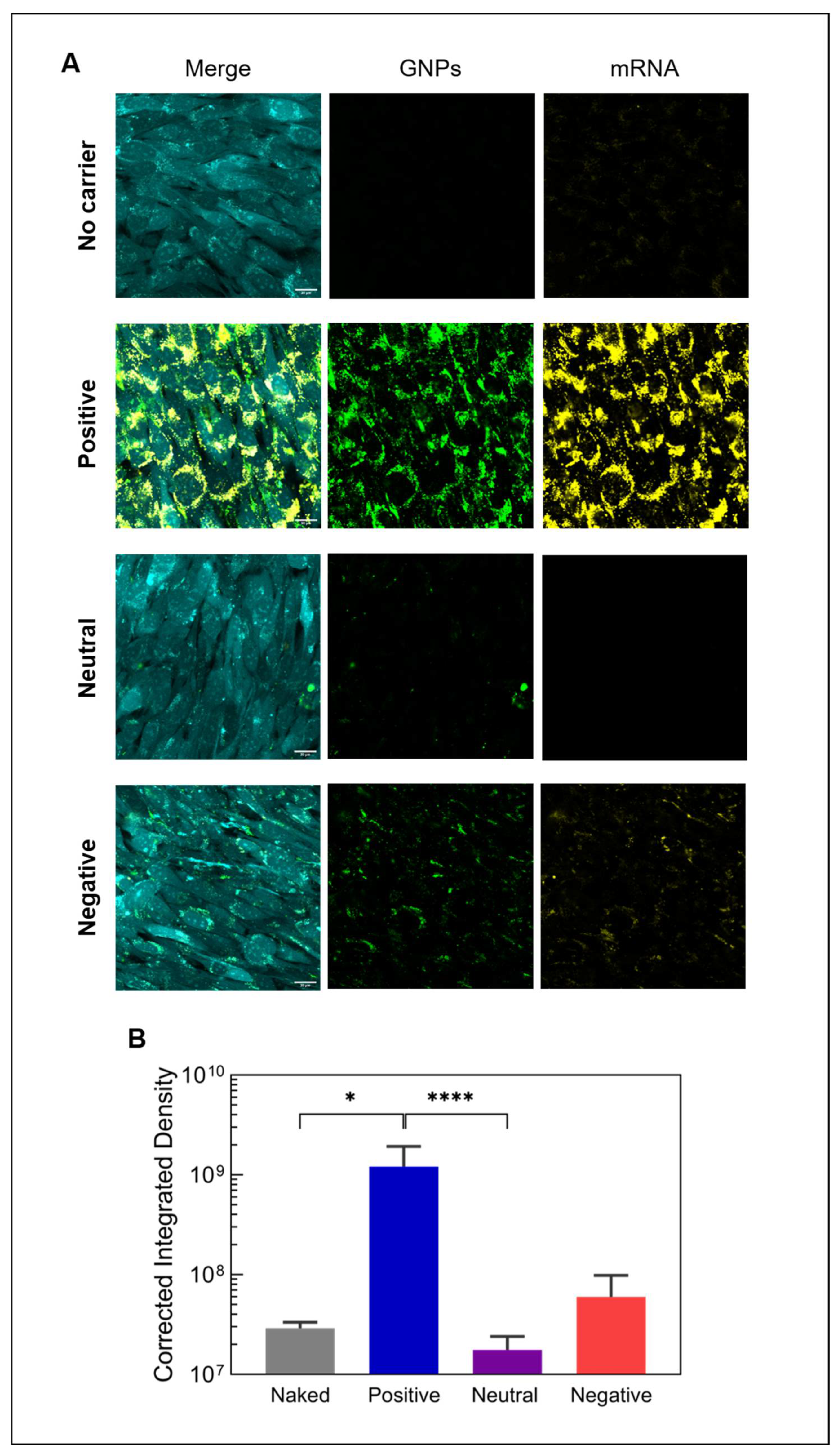 Nanomaterials 12 03423 g005 Nanomaterials 12 03423 g005