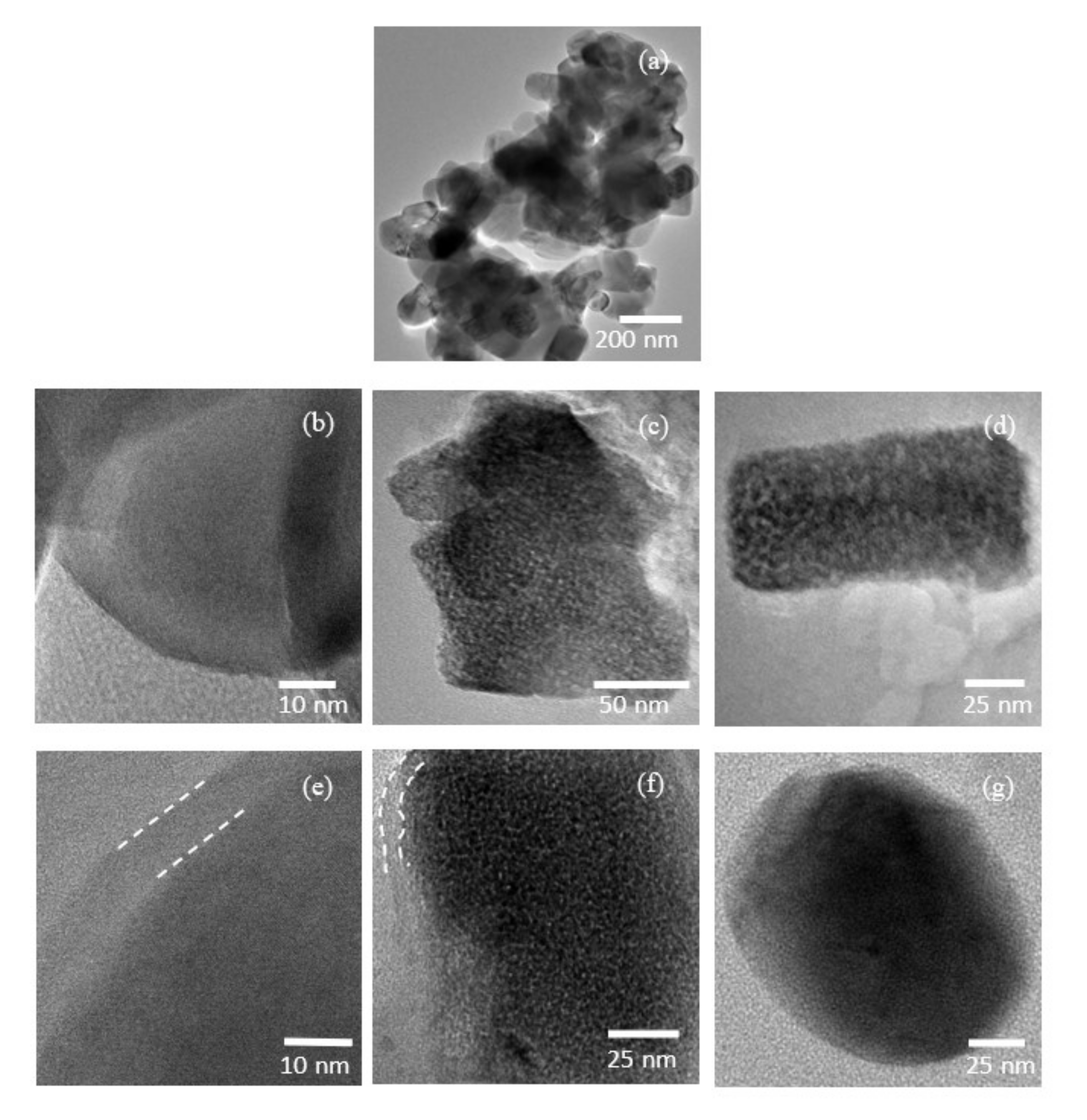 Nanomaterials 12 03425 g010 550