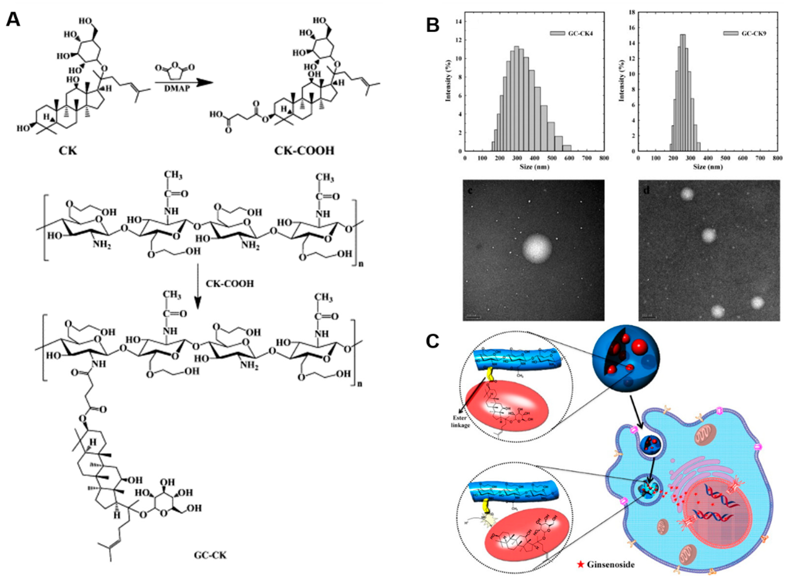 Nanomaterials 12 03427 g005 Nanomaterials 12 03427 g005
