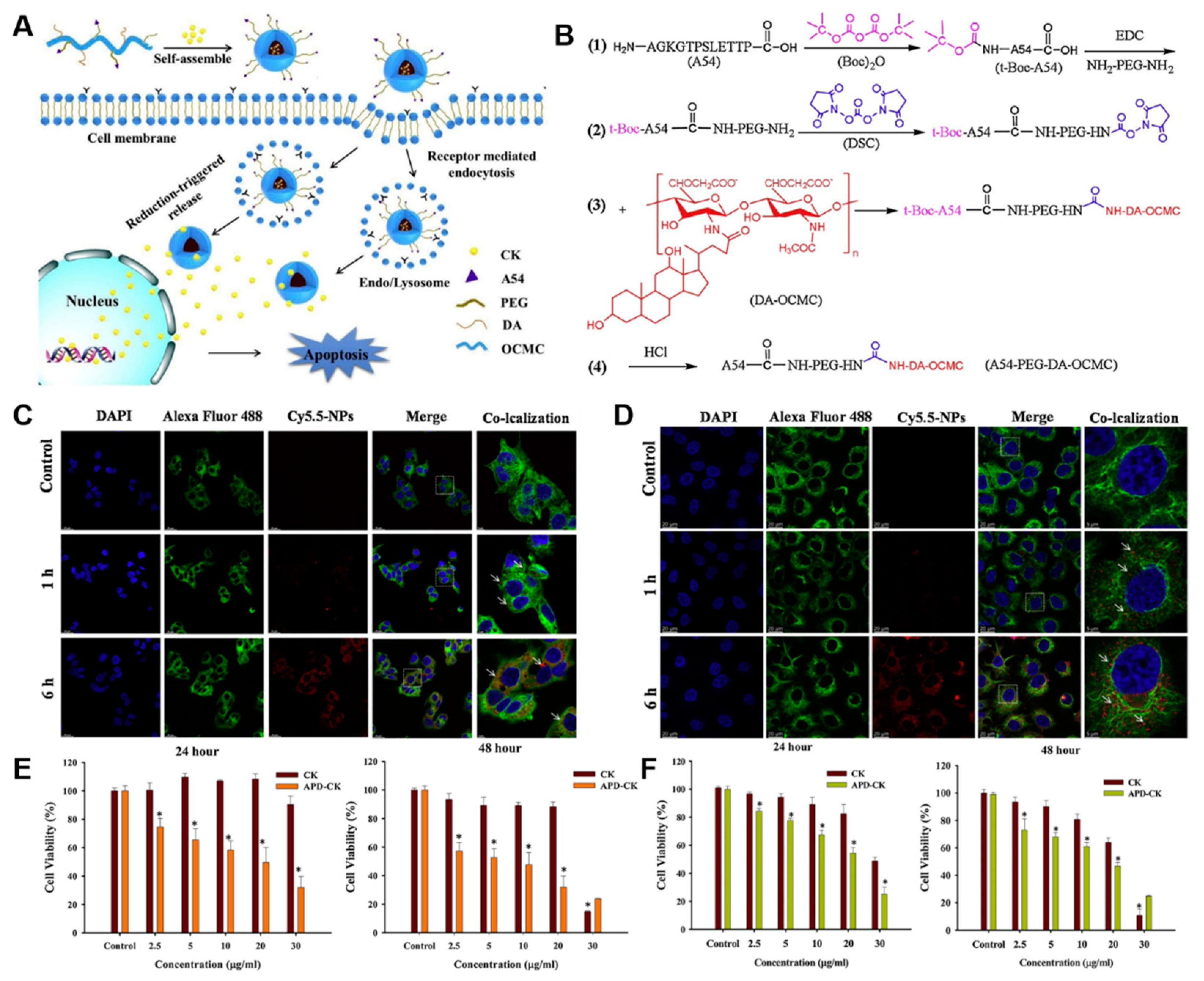 Nanomaterials 12 03427 g006 Nanomaterials 12 03427 g006