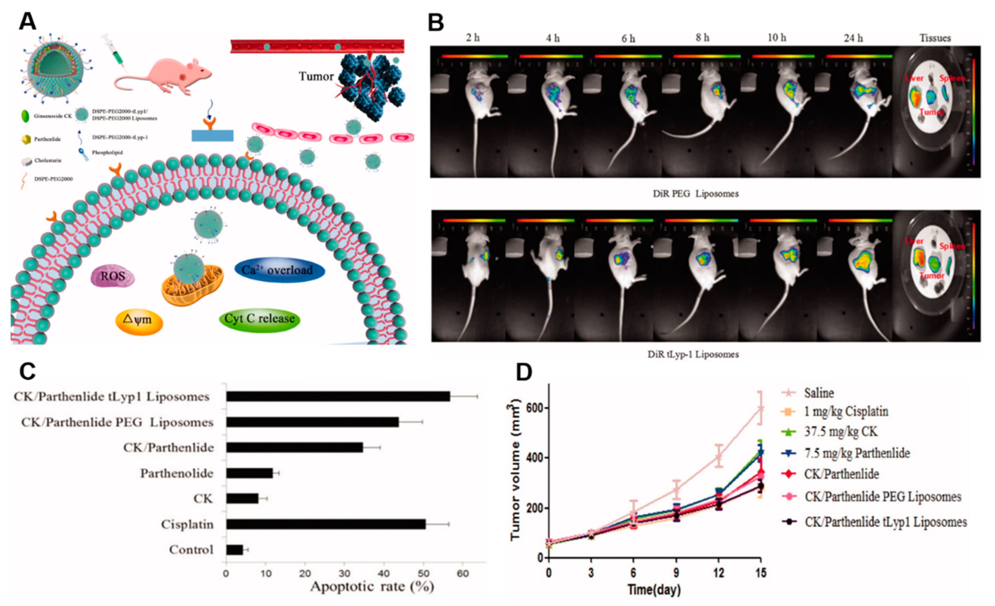 Nanomaterials 12 03427 g008 Nanomaterials 12 03427 g008
