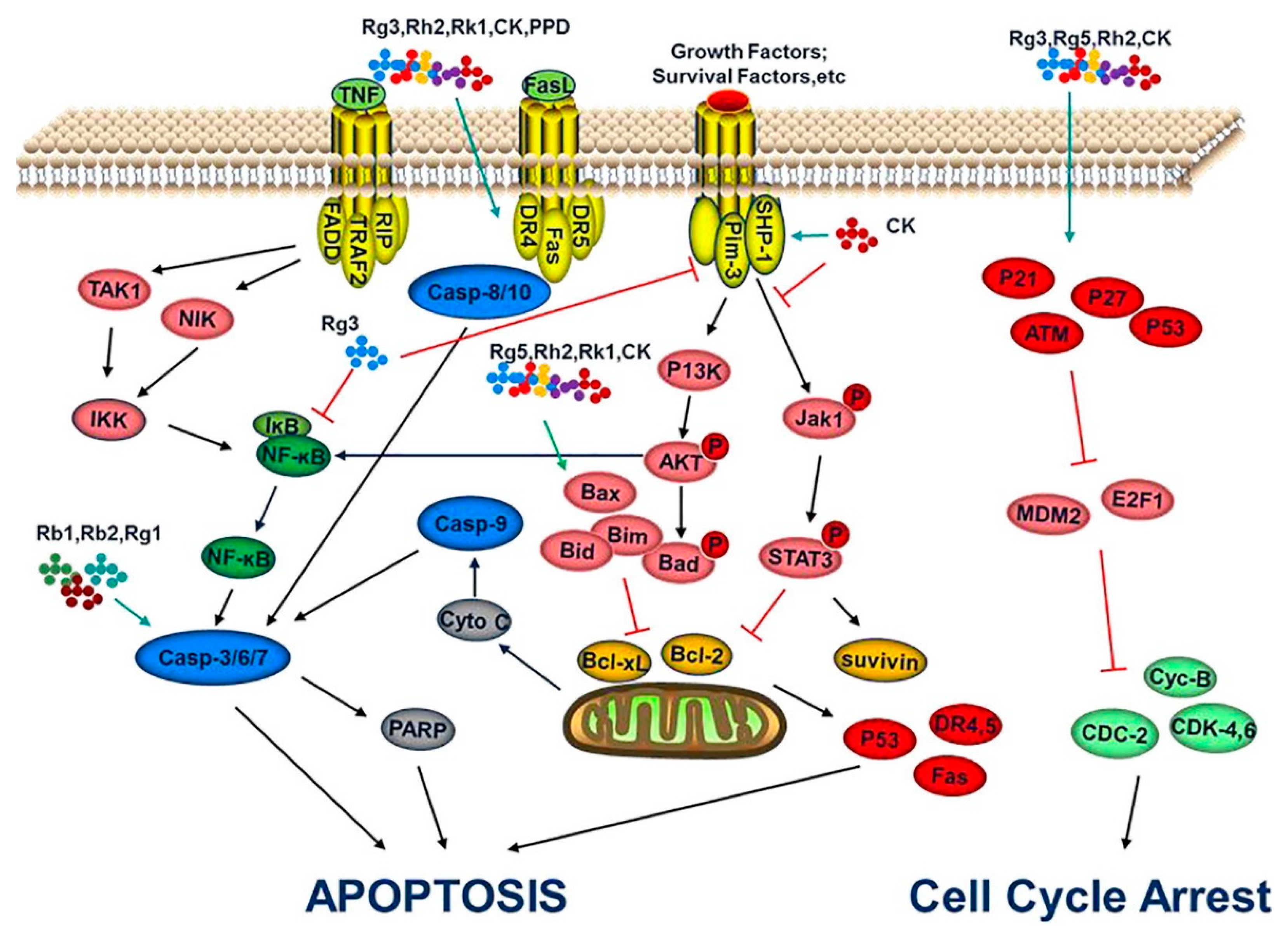 Nanomaterials 12 03427 g009 Nanomaterials 12 03427 g009