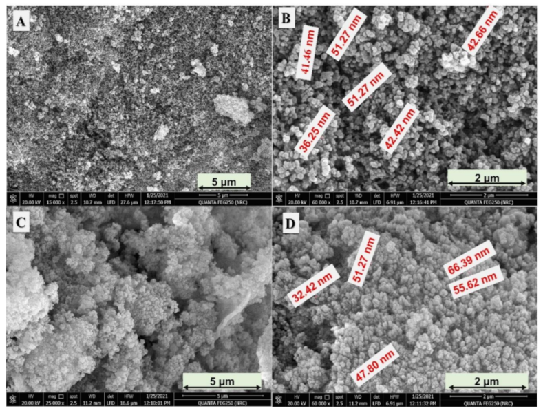Nanomaterials 12 03429 g001