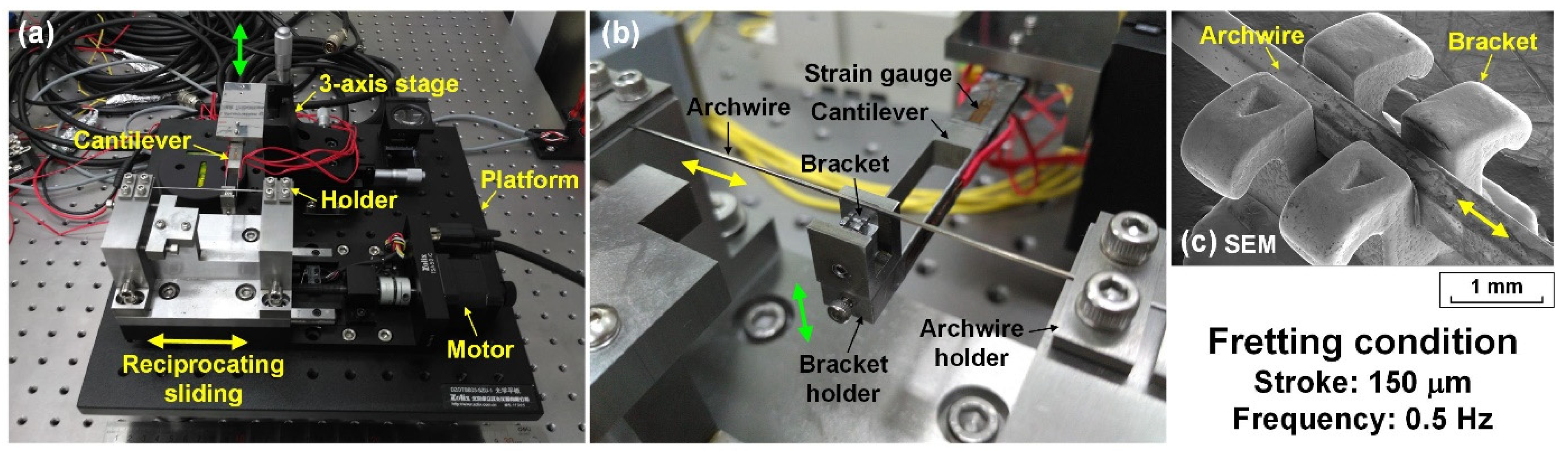 Nanomaterials 12 03430 g001 550