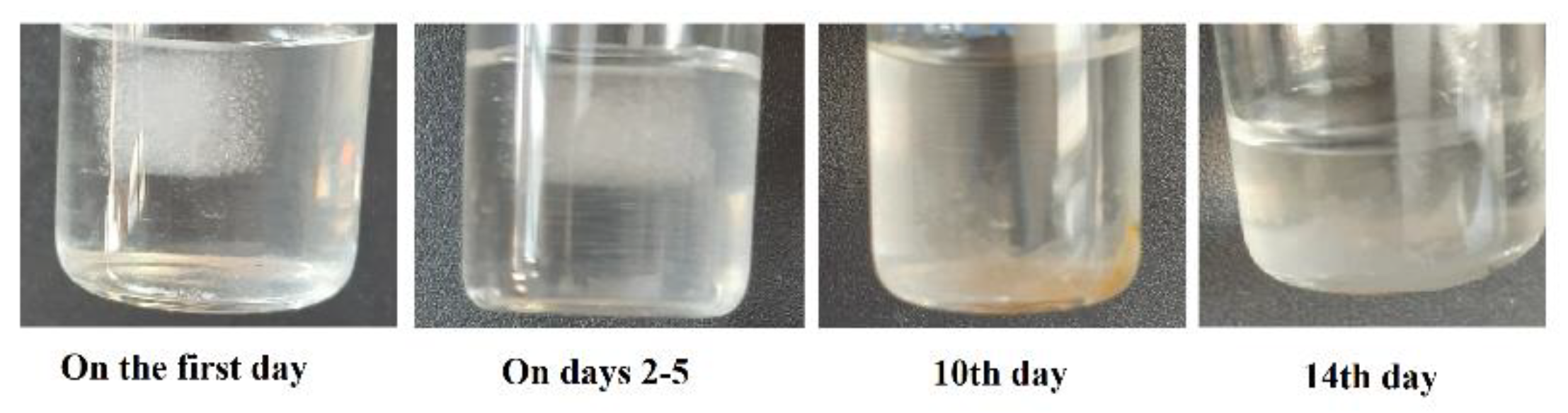 Nanomaterials 12 03436 g006 Nanomaterials 12 03436 g006