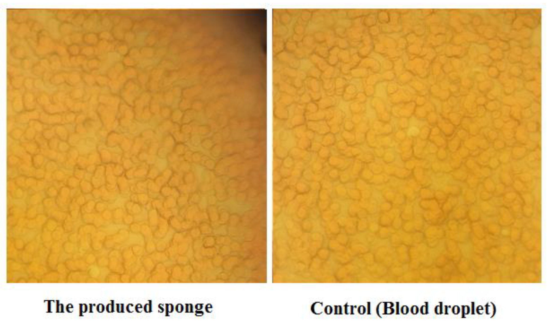 Nanomaterials 12 03436 g007 Nanomaterials 12 03436 g007