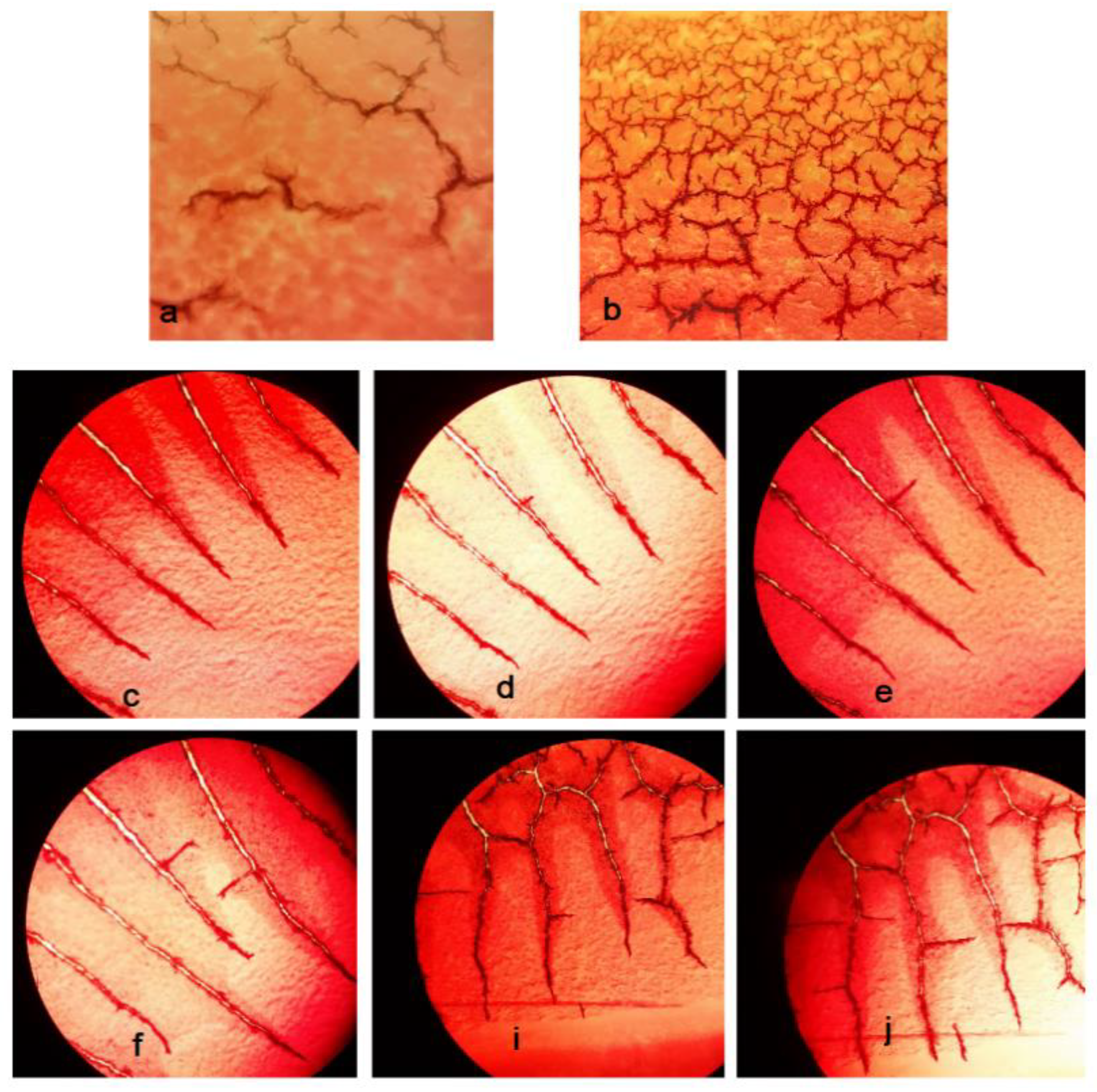 Nanomaterials 12 03436 g011 Nanomaterials 12 03436 g011