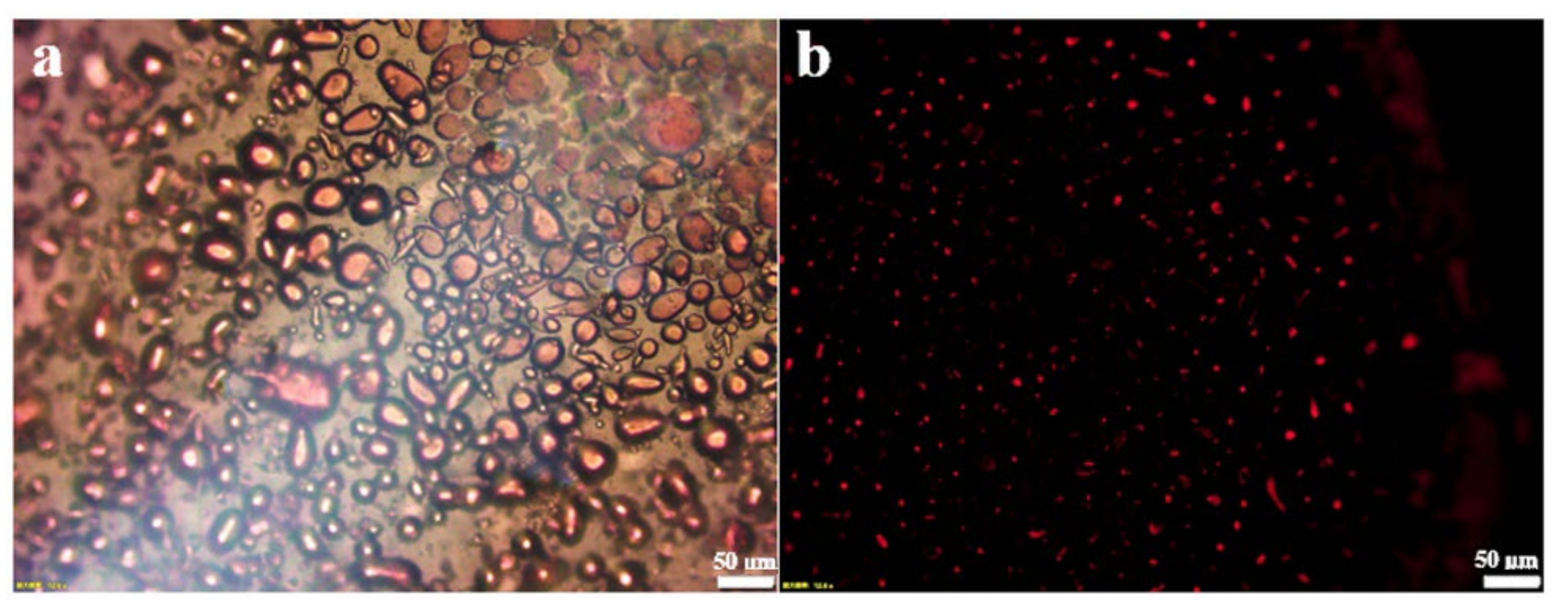 Nanomaterials 12 03439 g002