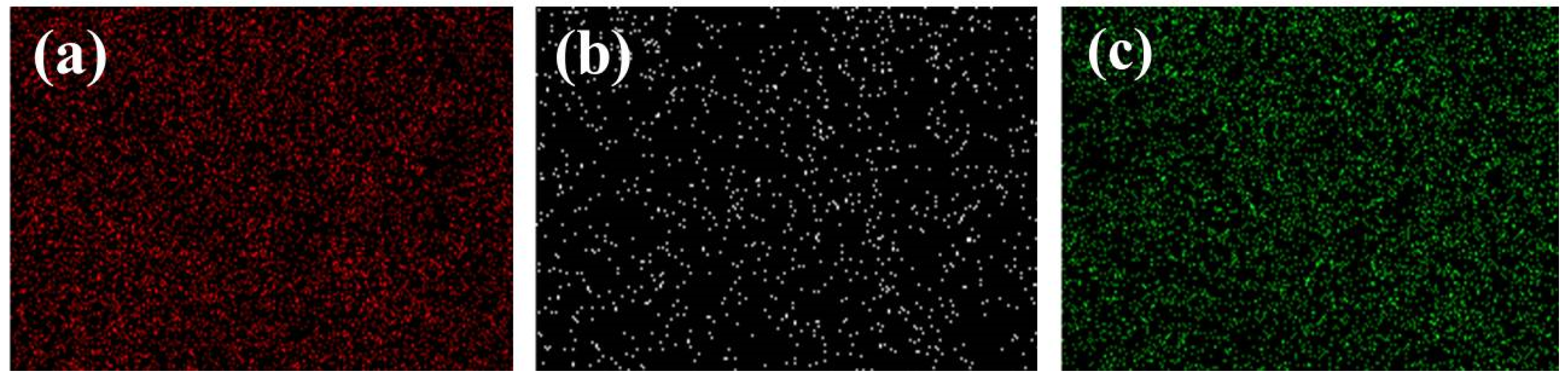 Nanomaterials 12 03442 g002 Nanomaterials 12 03442 g002