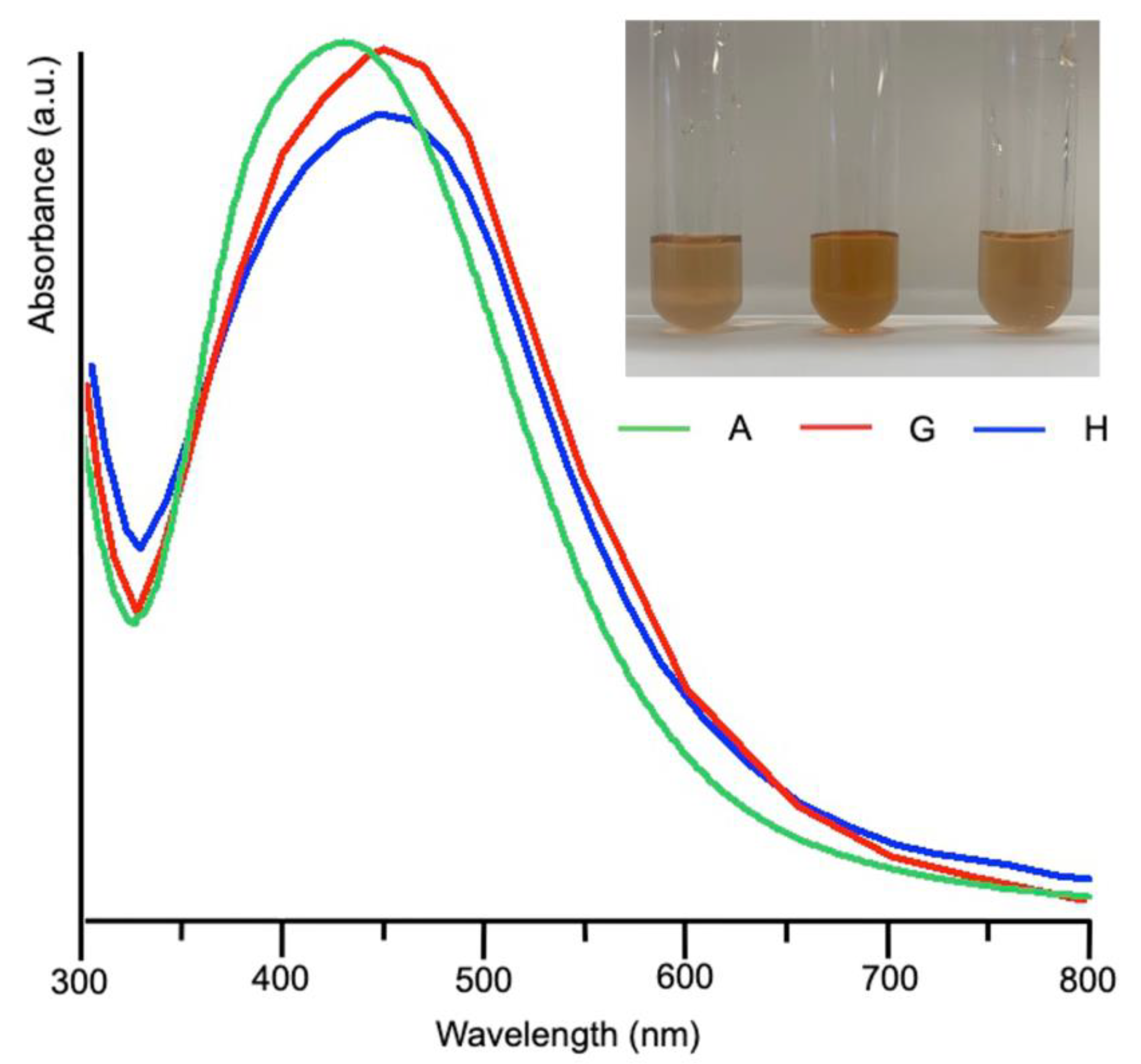 Nanomaterials 12 03447 g003