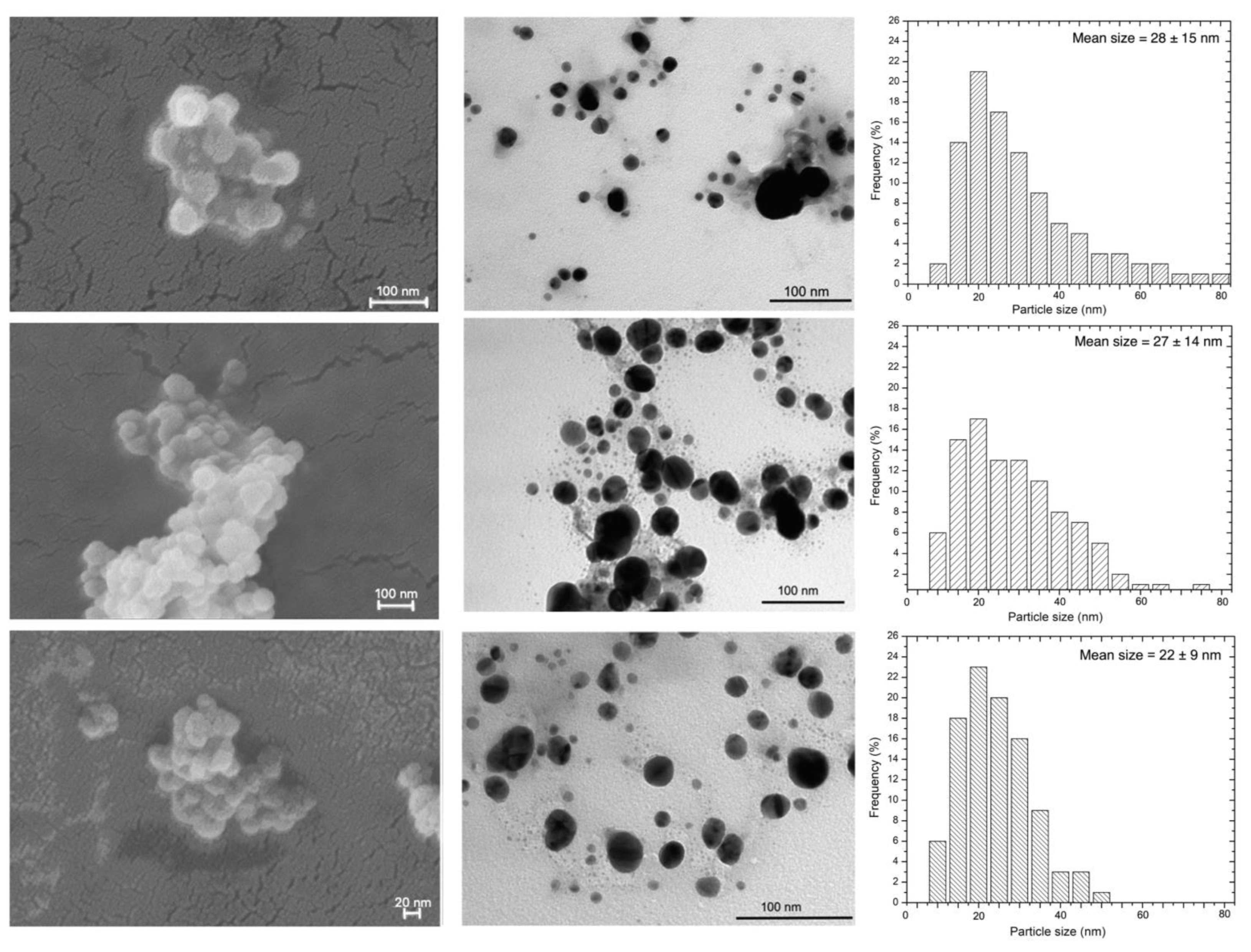 Nanomaterials 12 03447 g004