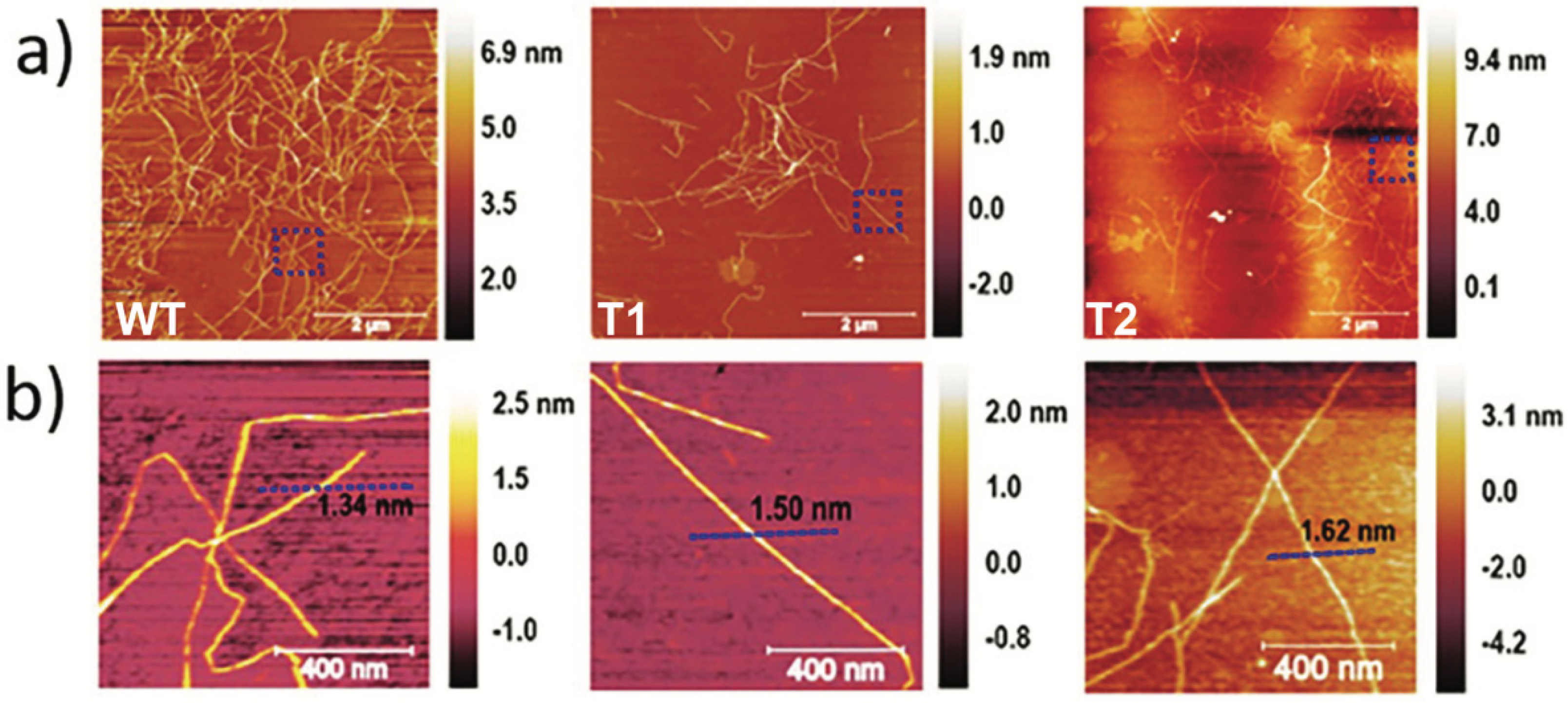 Nanomaterials 12 03448 g002
