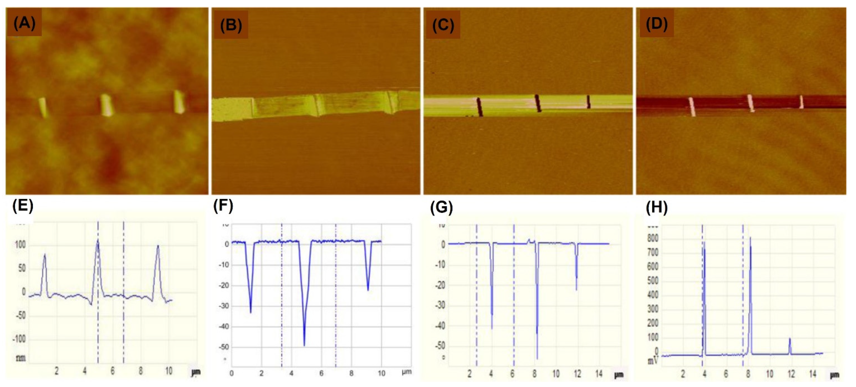 Nanomaterials 12 03451 g010 Nanomaterials 12 03451 g010