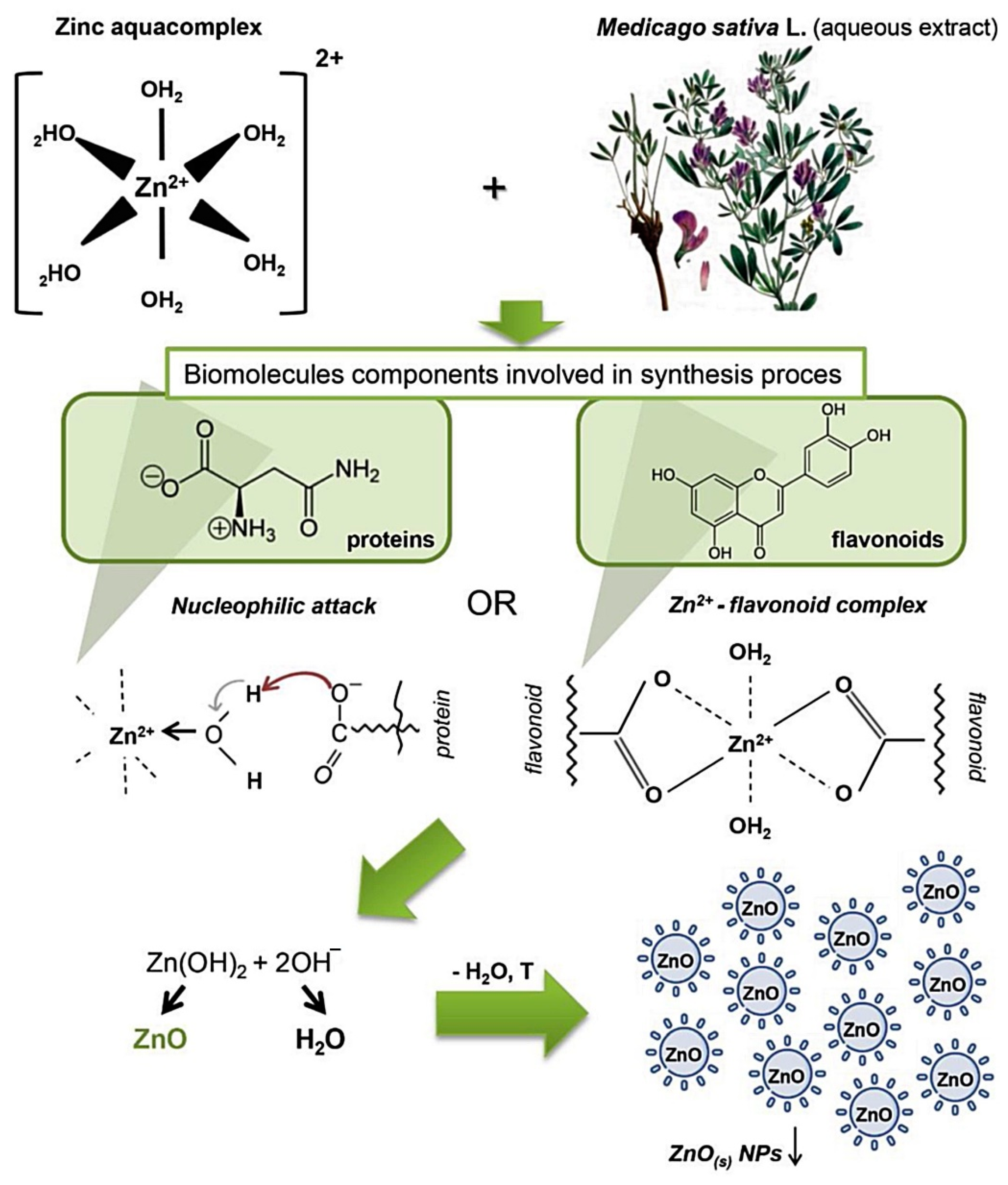Nanomaterials 12 03456 g003 Nanomaterials 12 03456 g003