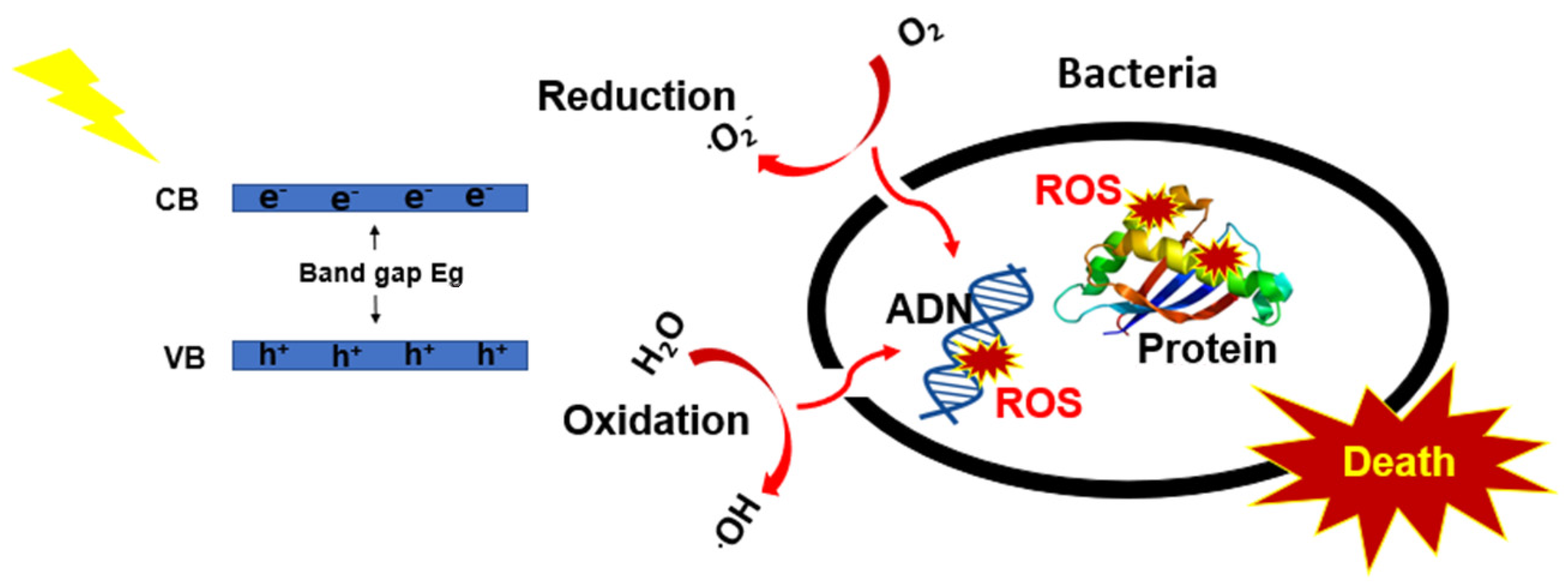 Nanomaterials 12 03459 g001 Nanomaterials 12 03459 g001
