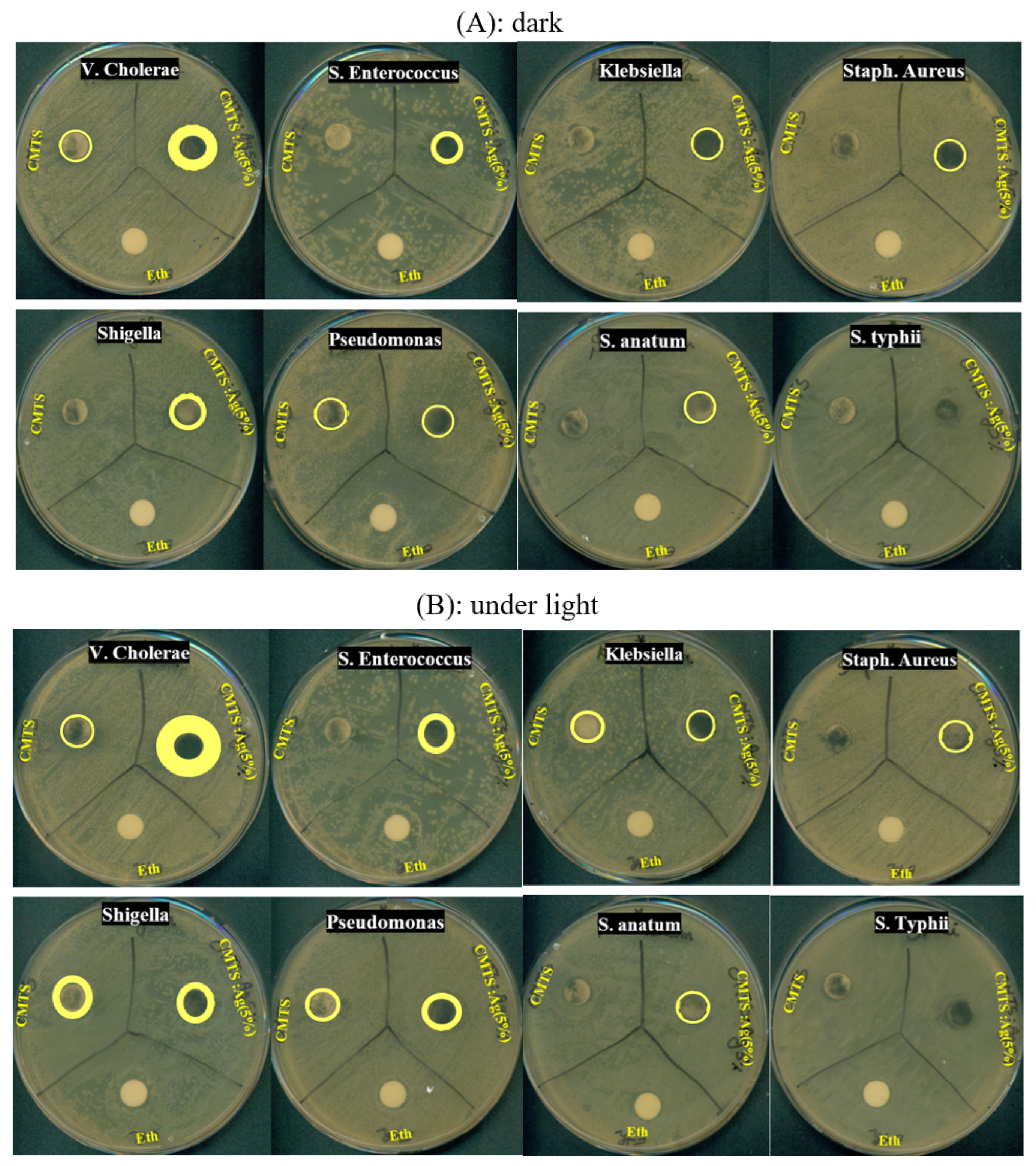Nanomaterials 12 03459 g011 Nanomaterials 12 03459 g011