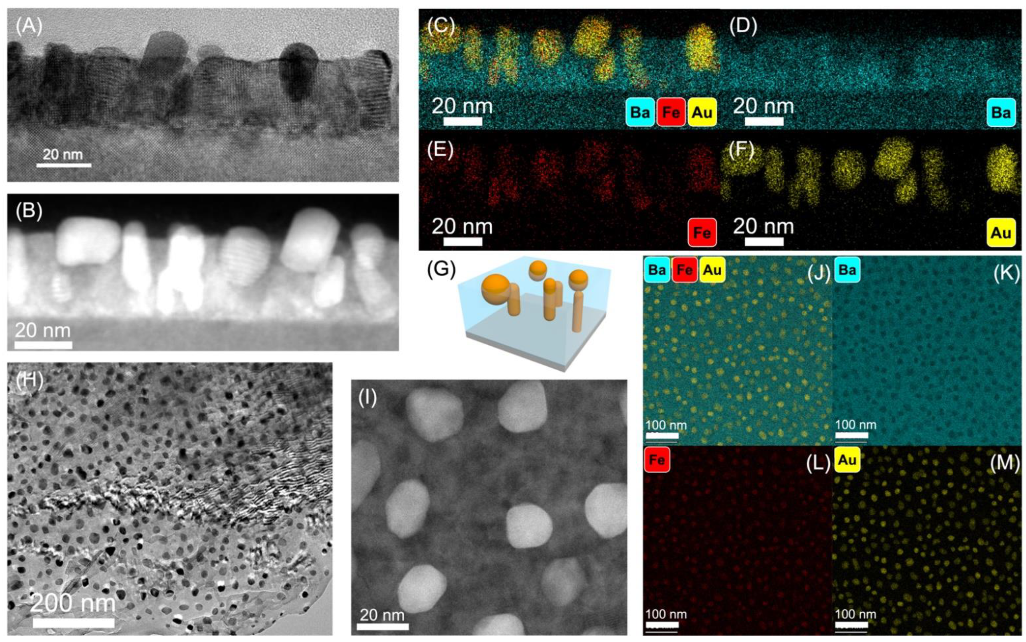 Nanomaterials 12 03460 g003 Nanomaterials 12 03460 g003