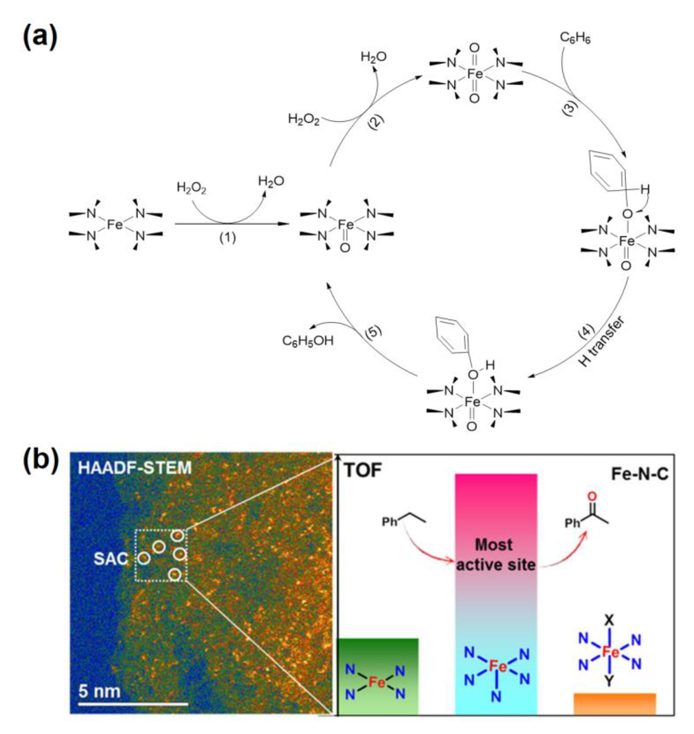 Nanomaterials 12 03462 g009