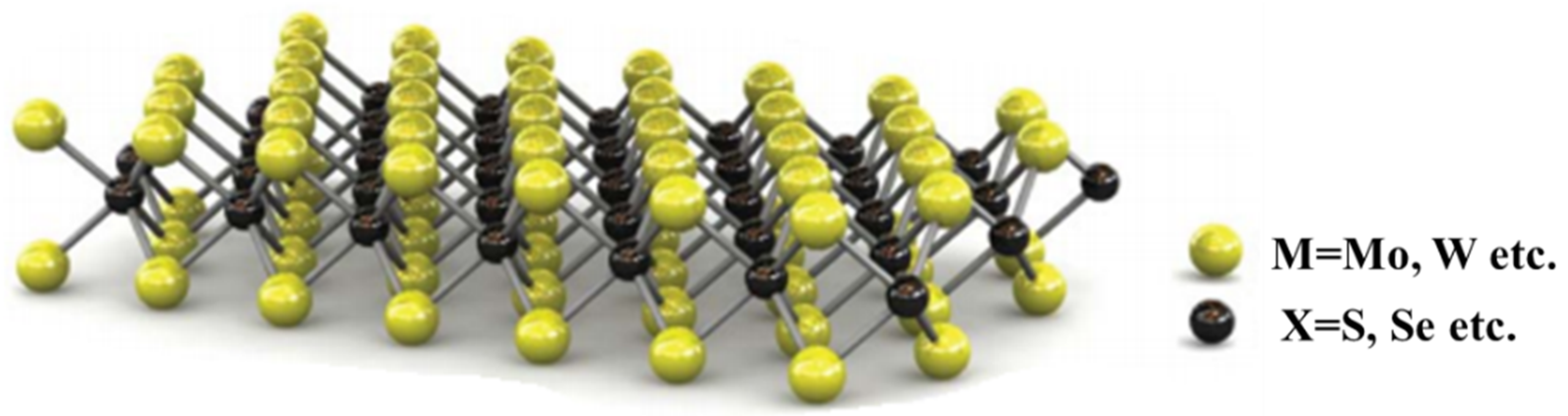 Nanomaterials 12 03465 g001