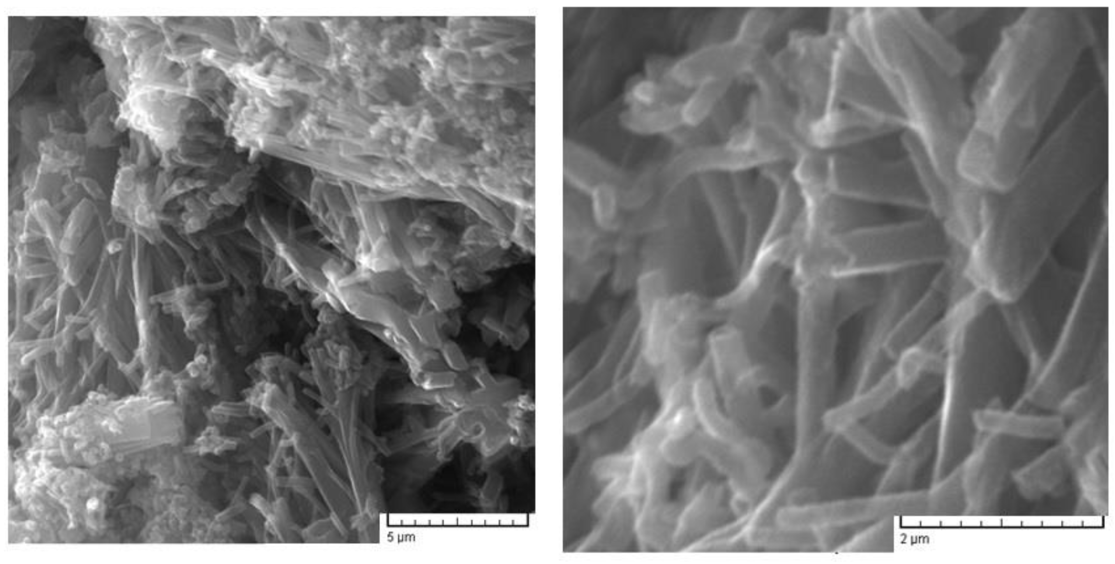 Nanomaterials 12 03468 g002 Nanomaterials 12 03468 g002