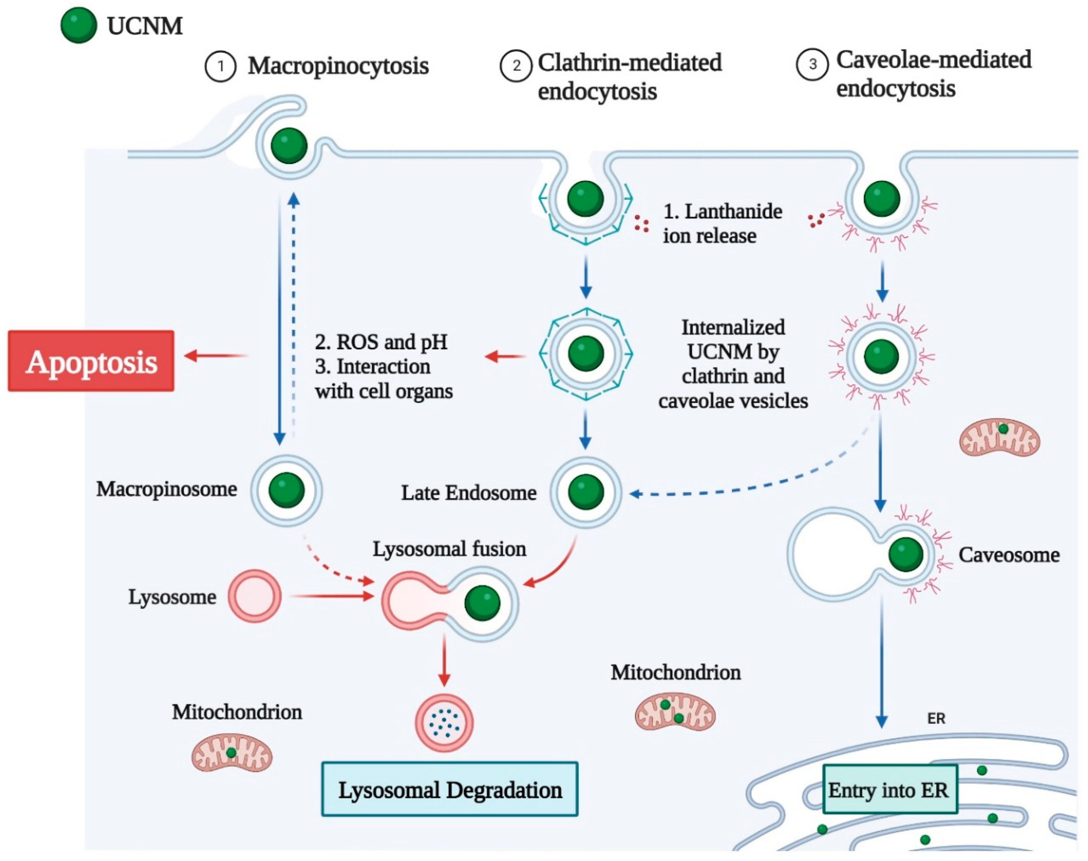 Nanomaterials 12 03470 g003 Nanomaterials 12 03470 g003