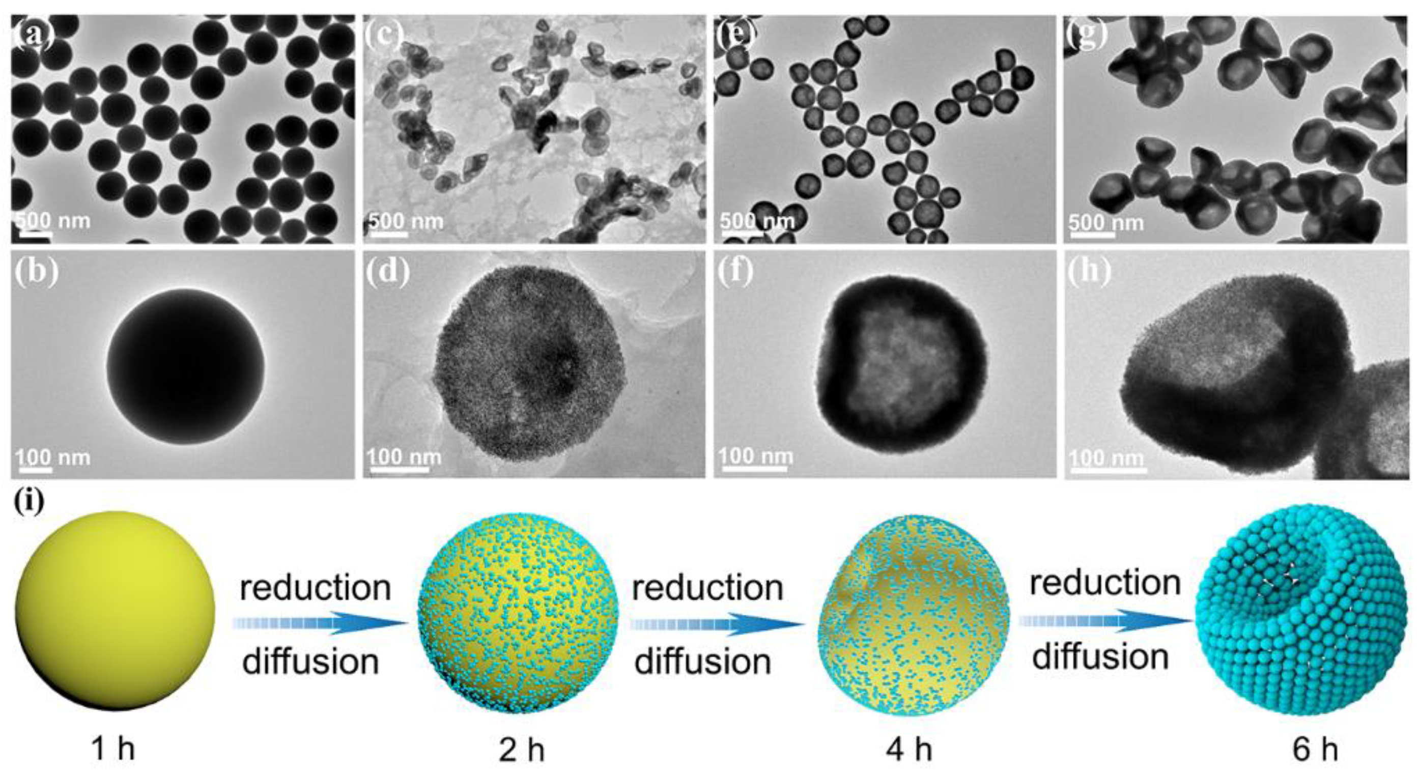 Nanomaterials 12 03471 g003 Nanomaterials 12 03471 g003