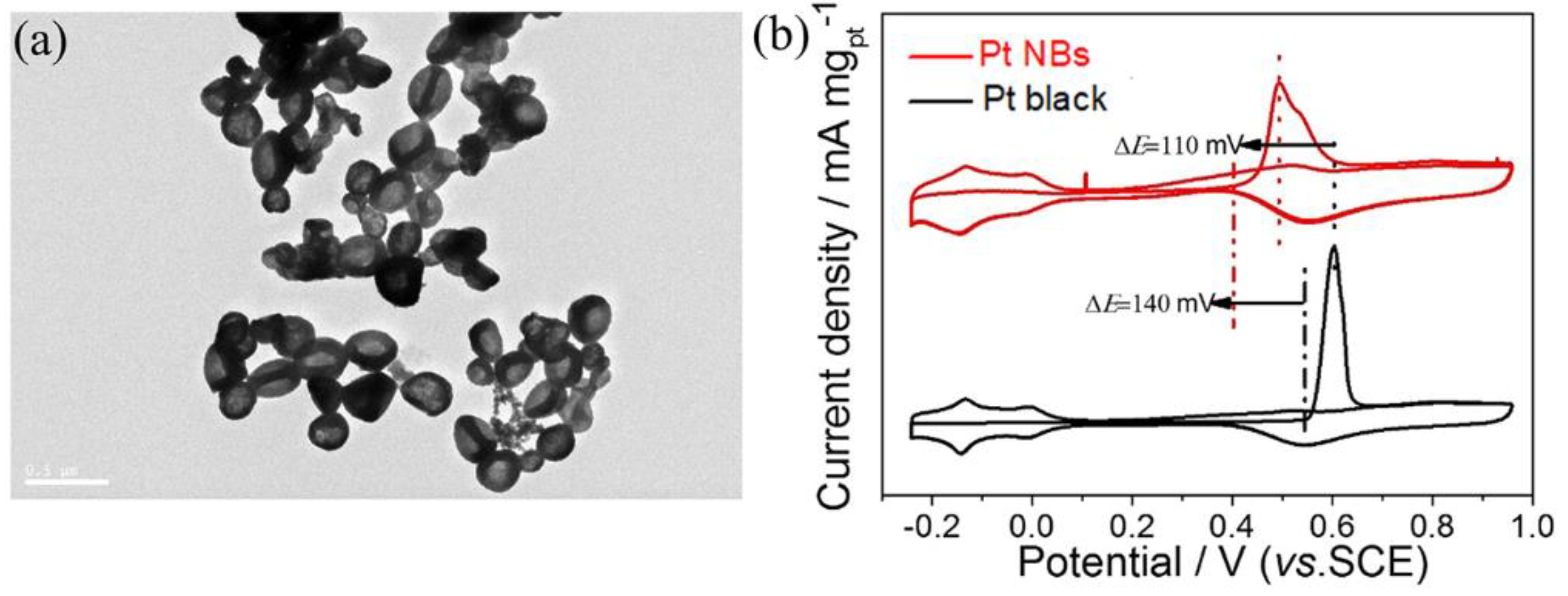 Nanomaterials 12 03471 g005 Nanomaterials 12 03471 g005
