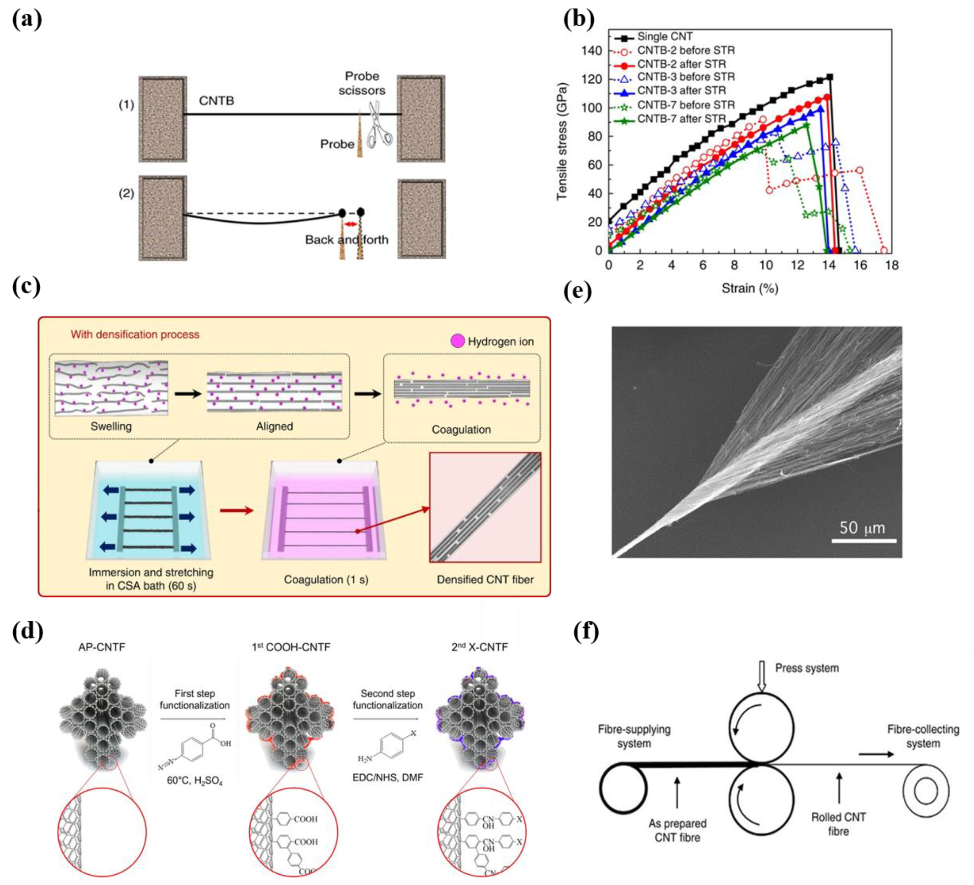Nanomaterials 12 03478 g006 Nanomaterials 12 03478 g006