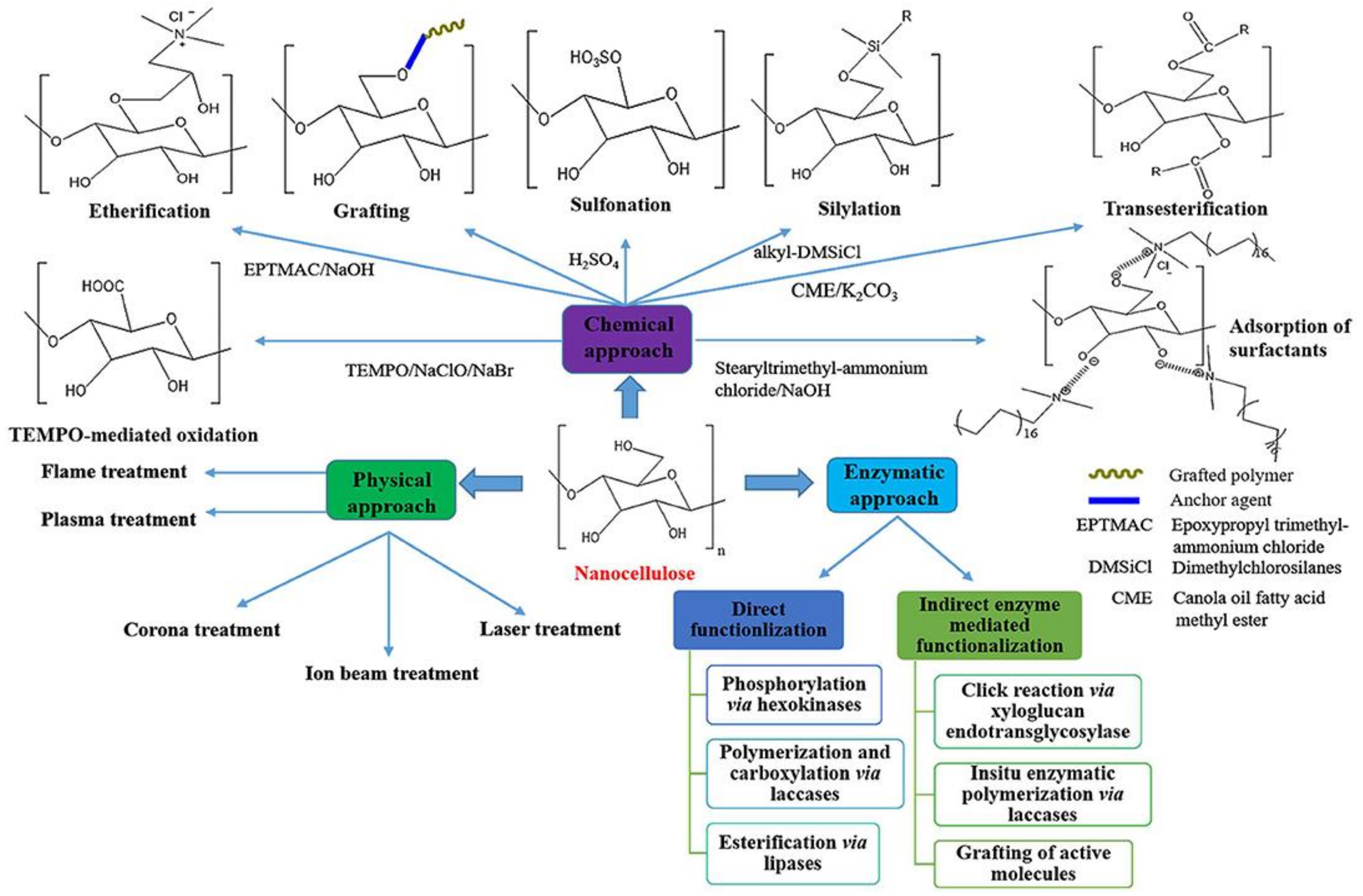 Nanomaterials 12 03483 g006 Nanomaterials 12 03483 g006