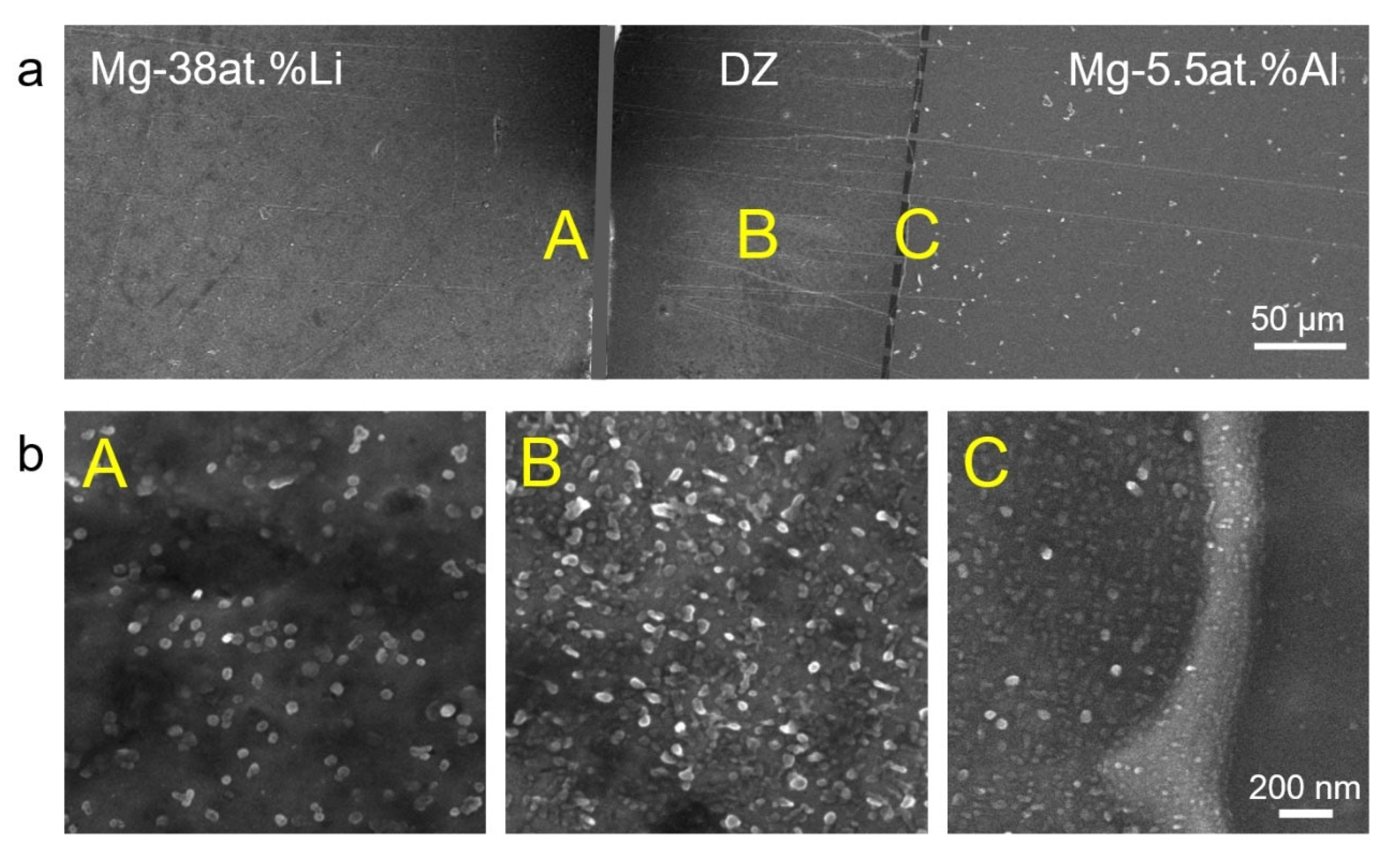 Nanomaterials 12 03488 g003 550