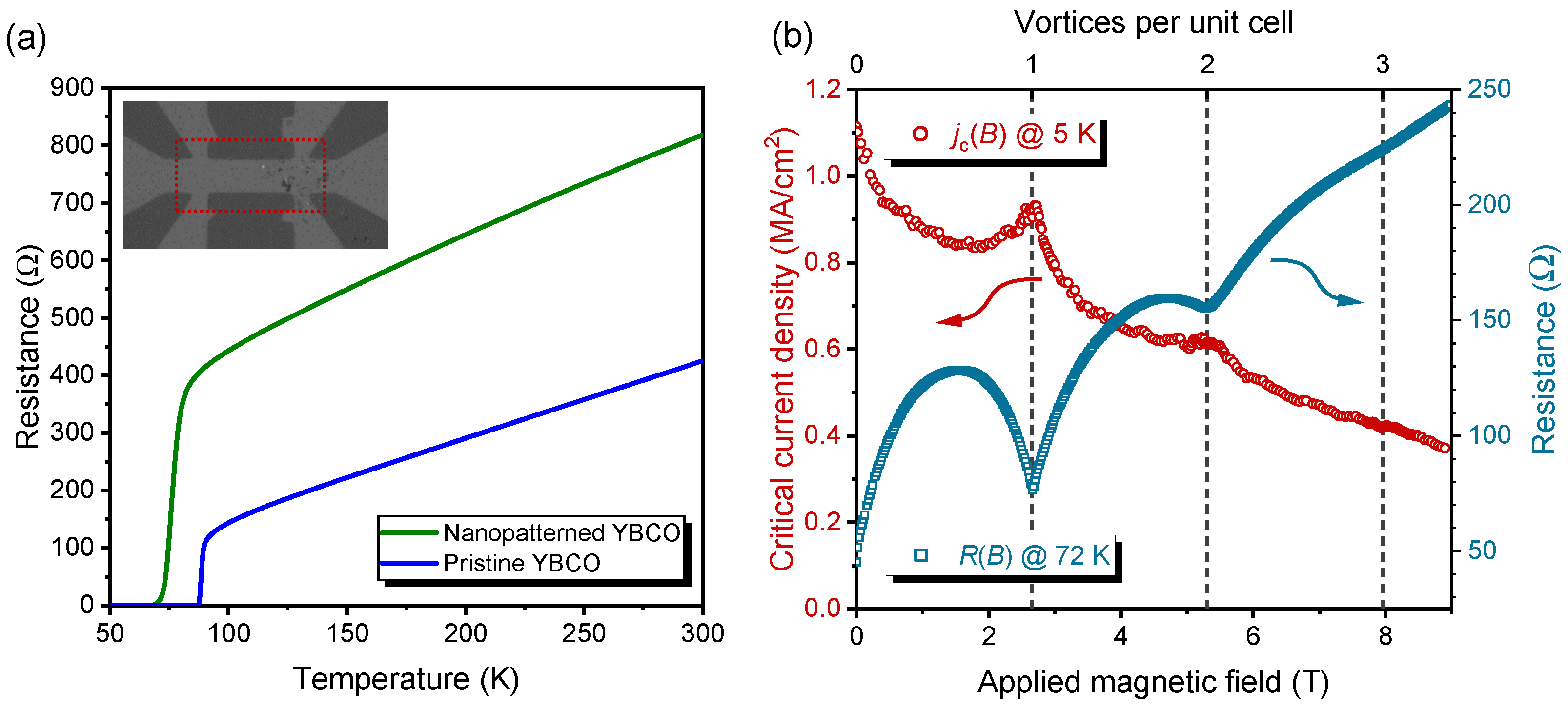 Nanomaterials 12 03491 g001