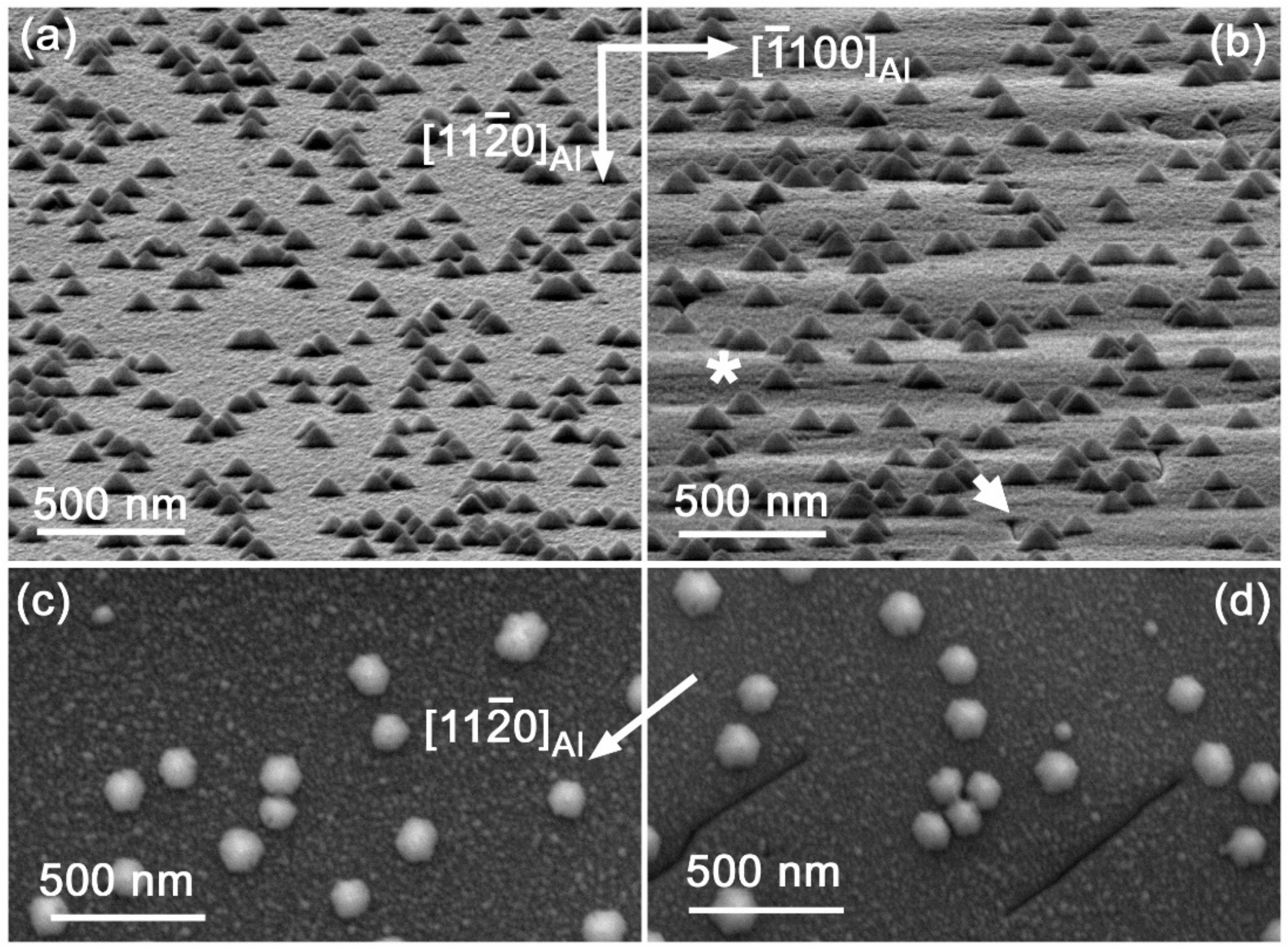 In(Ga)N 3D Growth on GaN-Buffered On-Axis and Off-Axis (0001