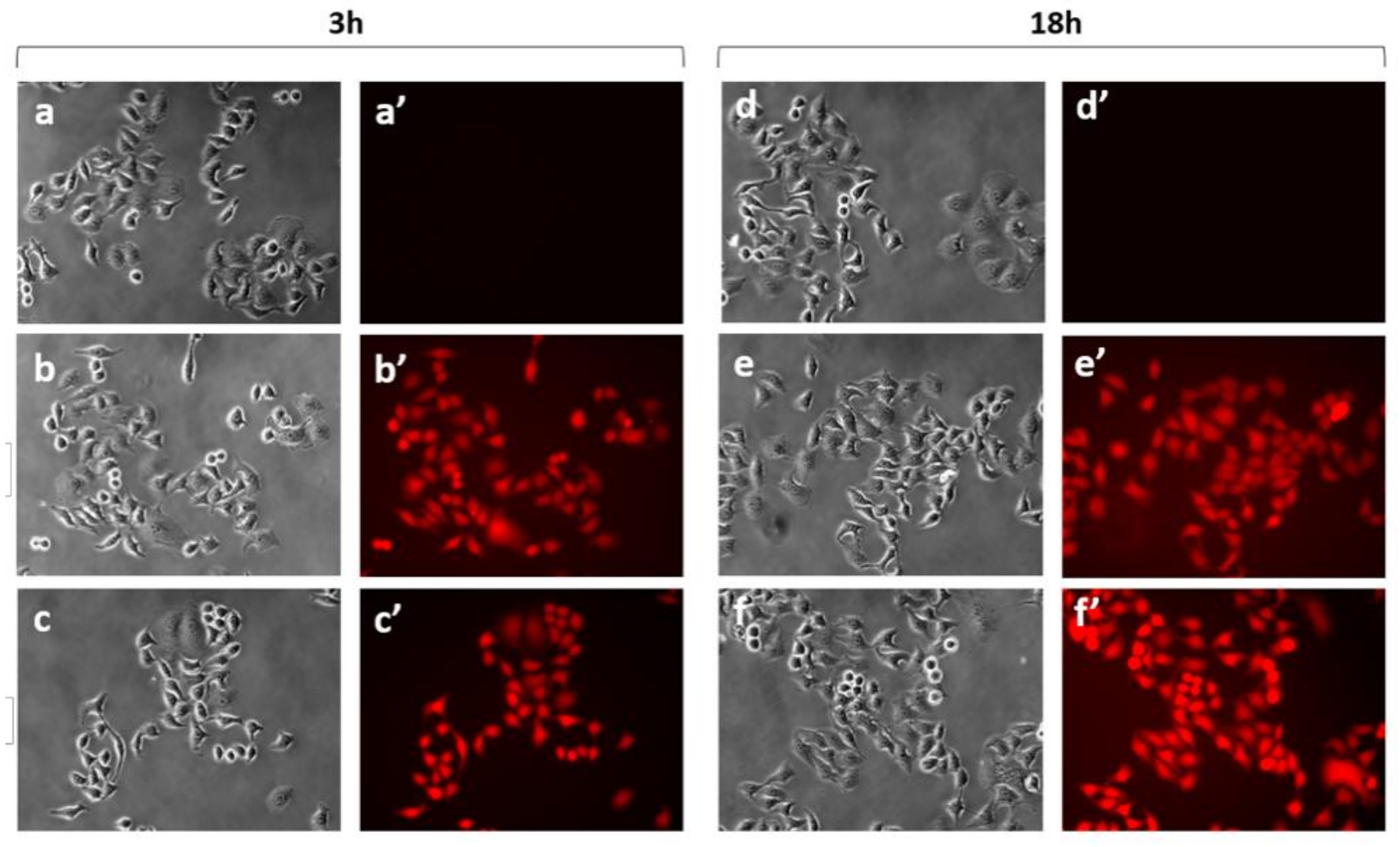 Nanomaterials 12 03501 g005 Nanomaterials 12 03501 g005